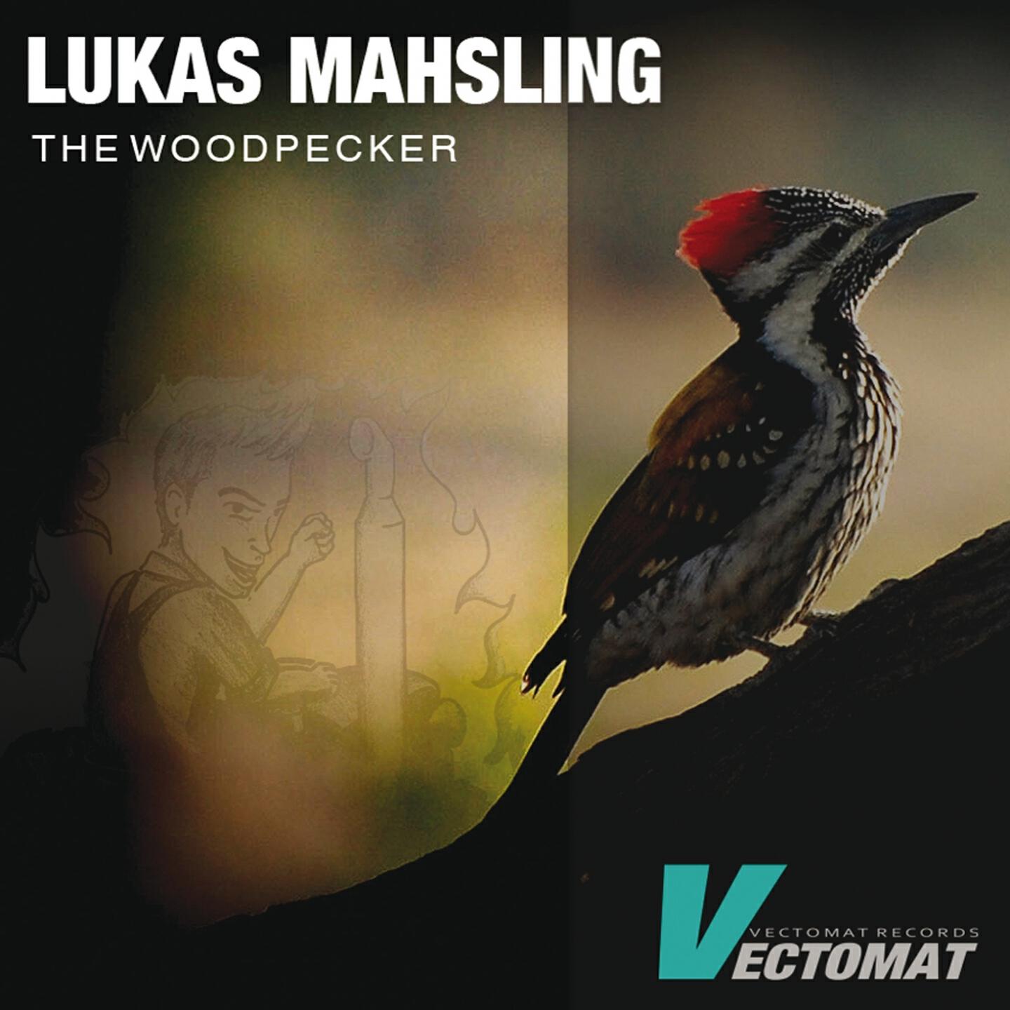 Lukas Mahsling - The Woodpecker (Andreas Kraemer Mix)
