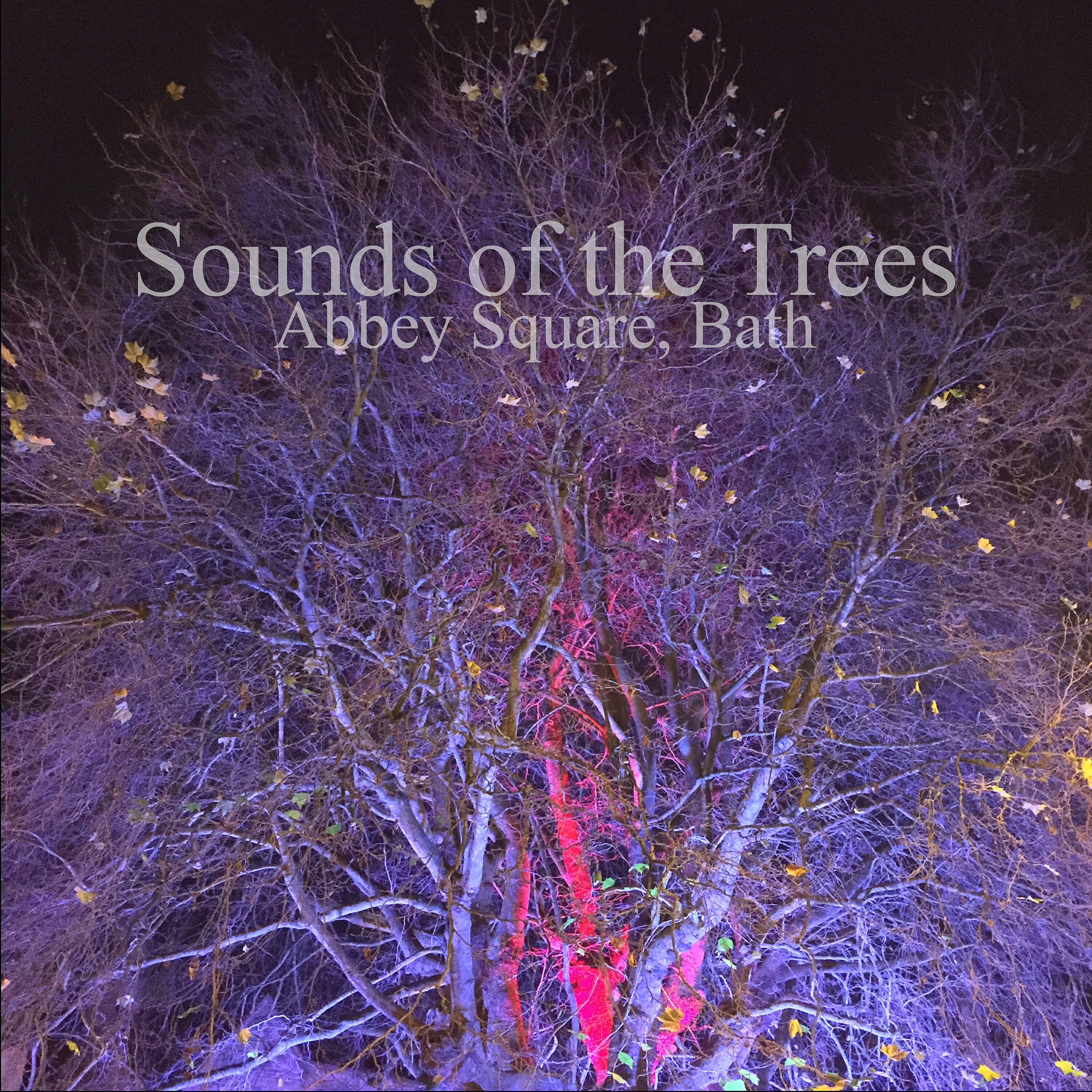 Sounds of the Trees - Crow Crow, Why So