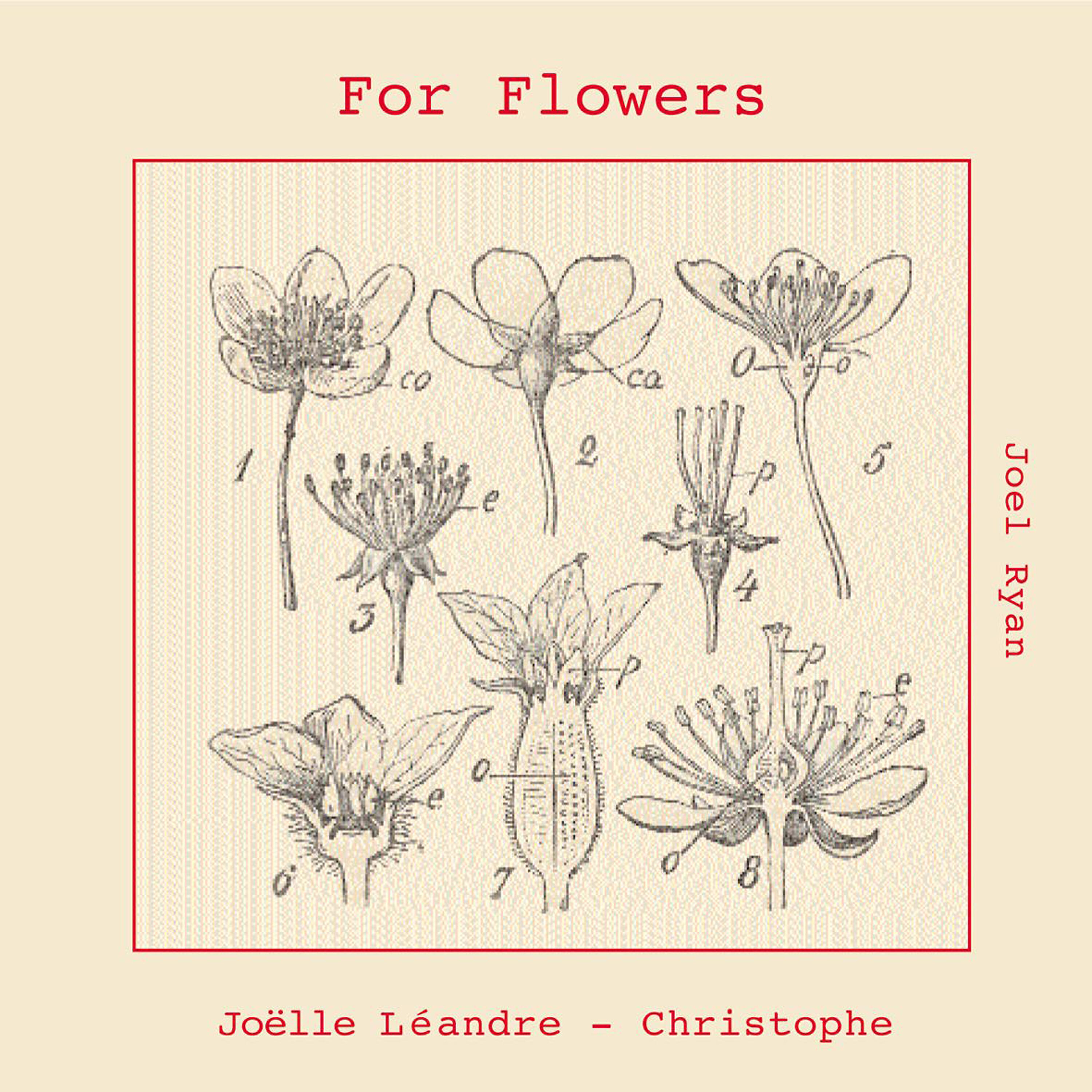 Joelle Leandre - White Lily