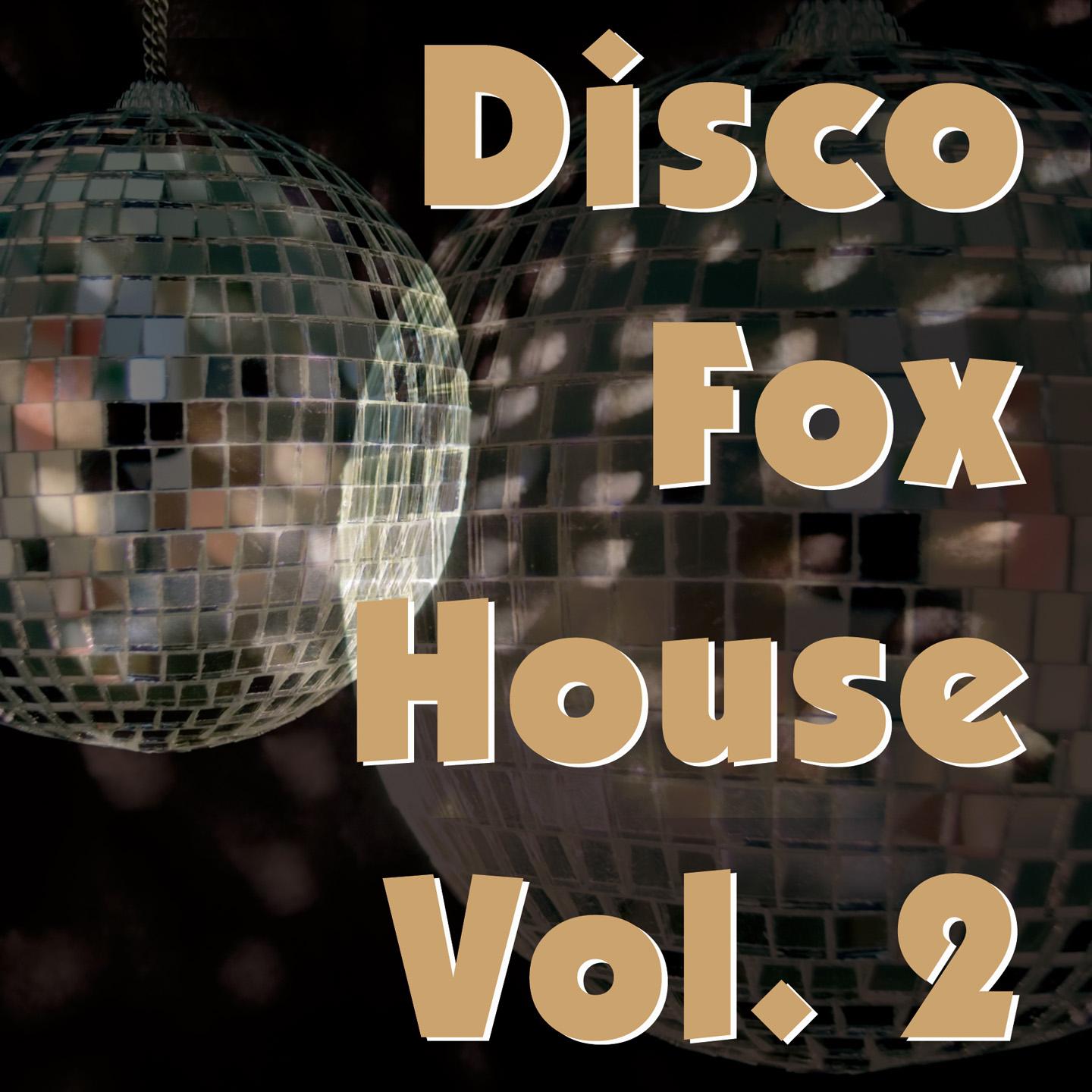Постер альбома Disco Fox House, Vol. 2