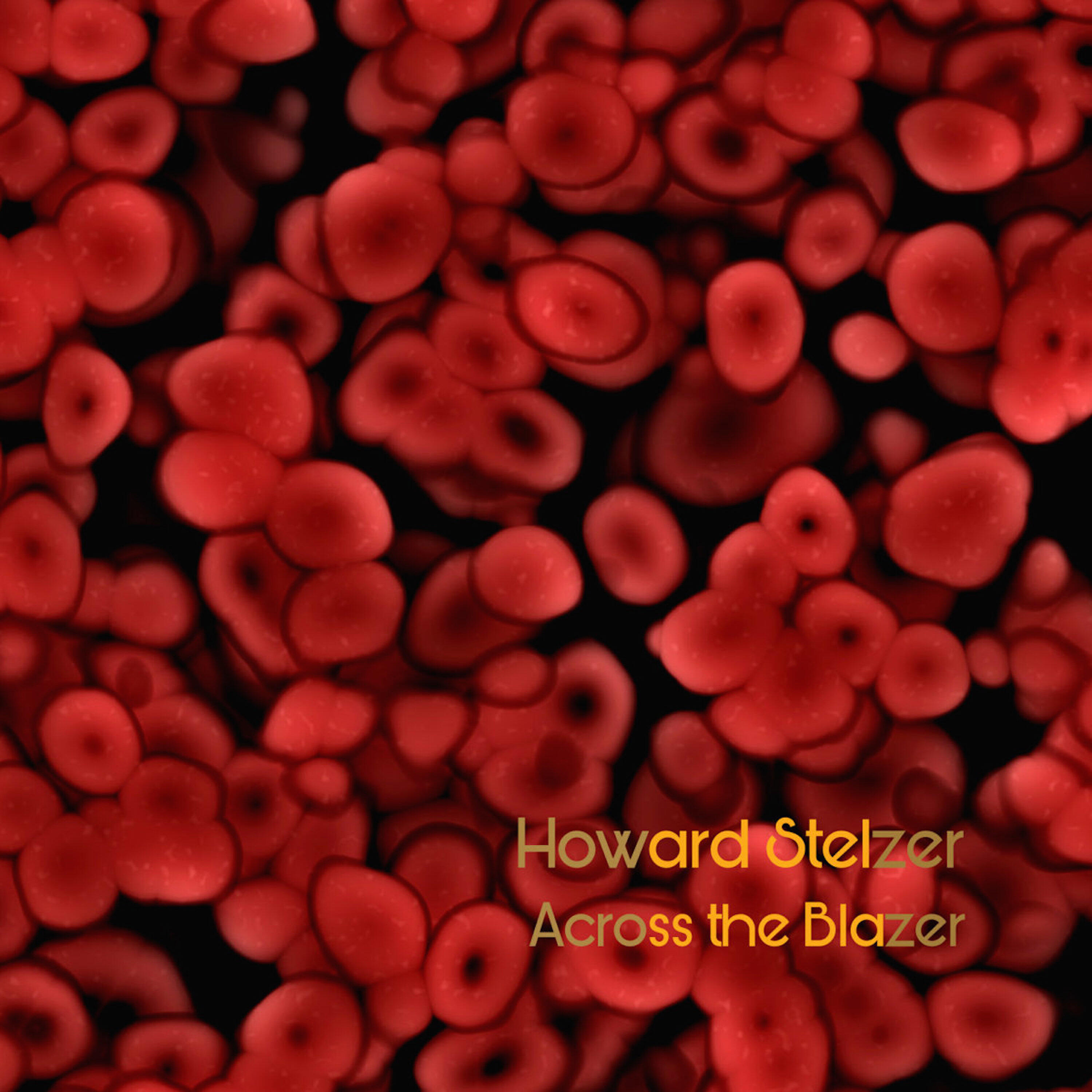 Howard Stelzer - Selective Memory (You Never Know Absolutely Quite Where You Are)
