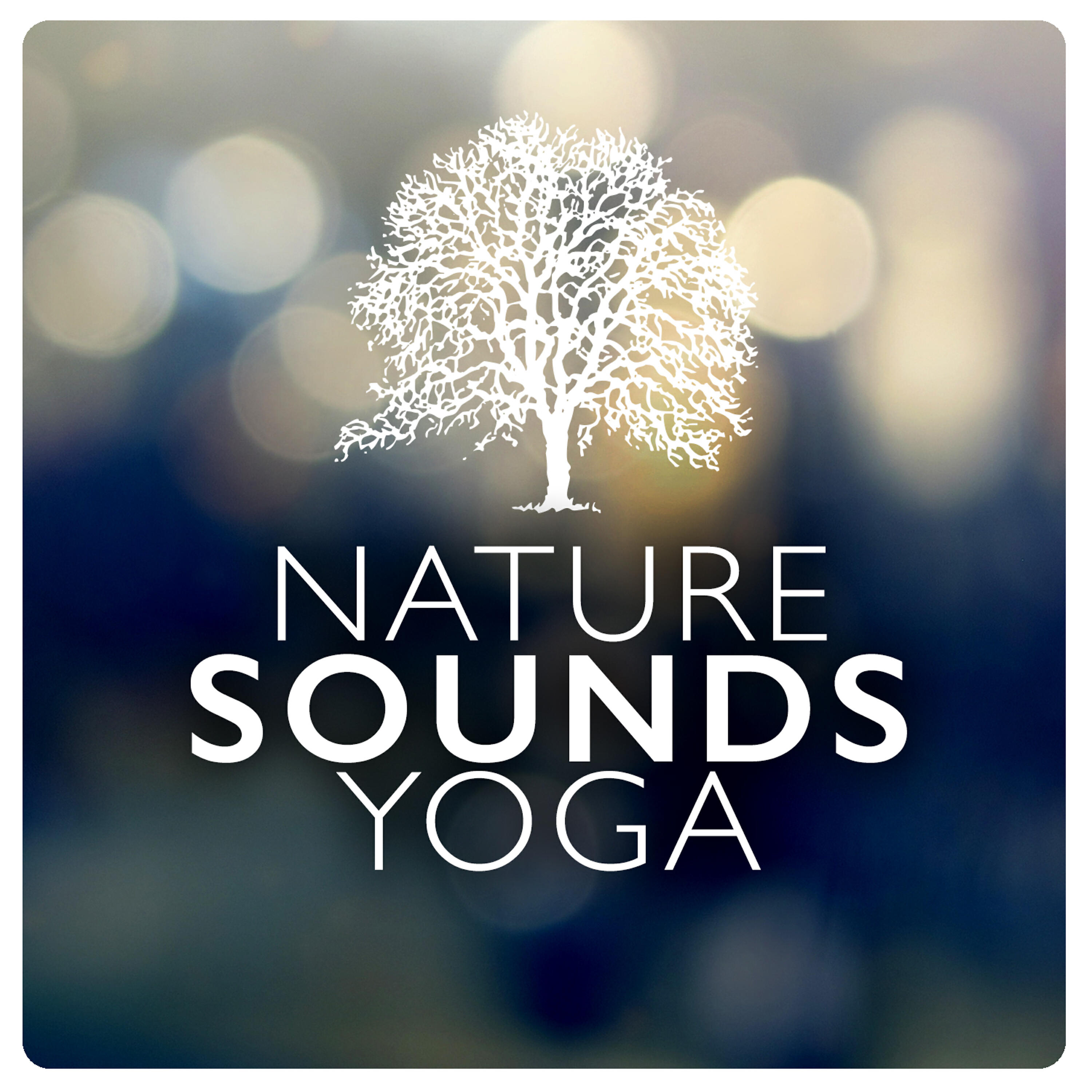 Nature Sounds 2015 - Streams Flow