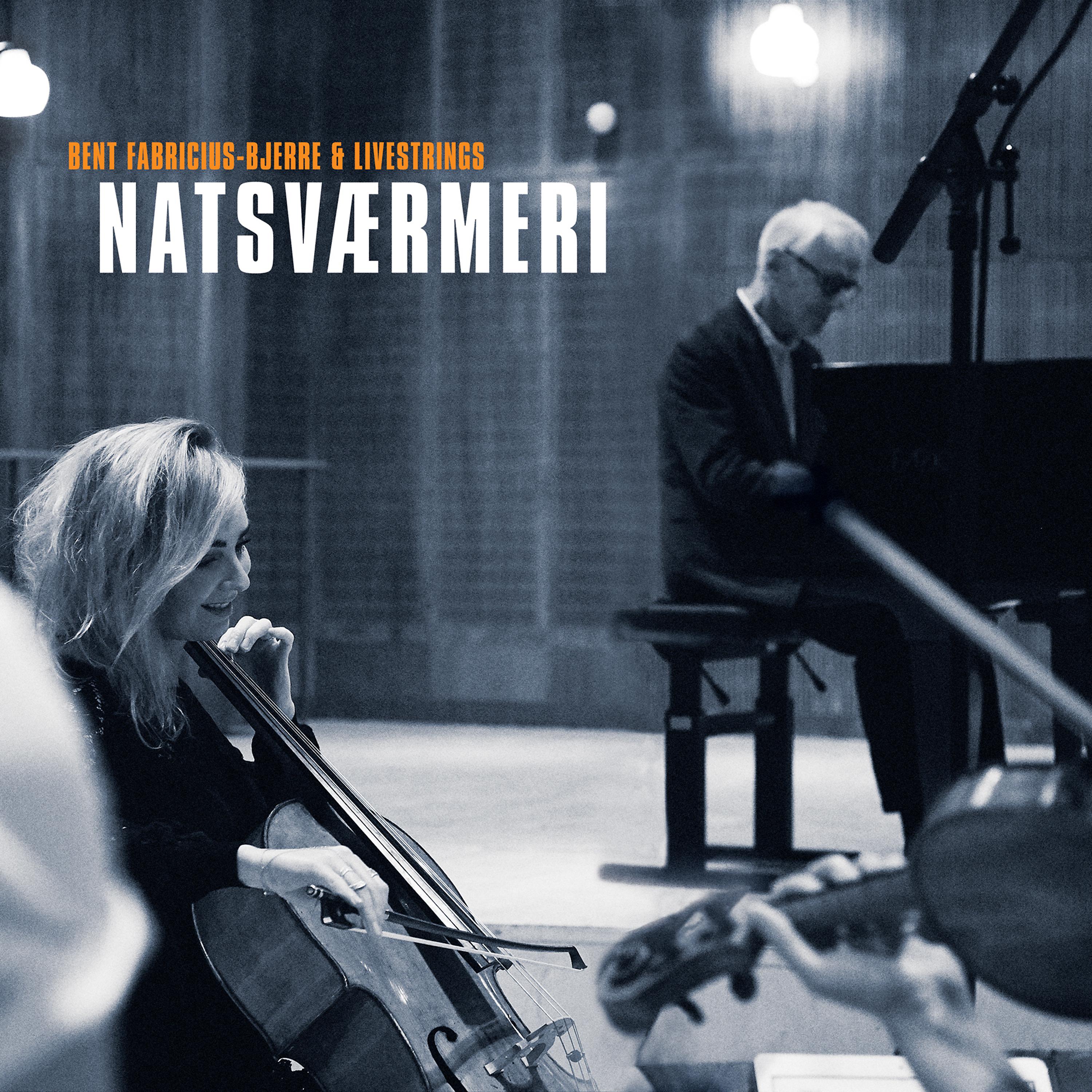 Постер альбома Natsværmeri