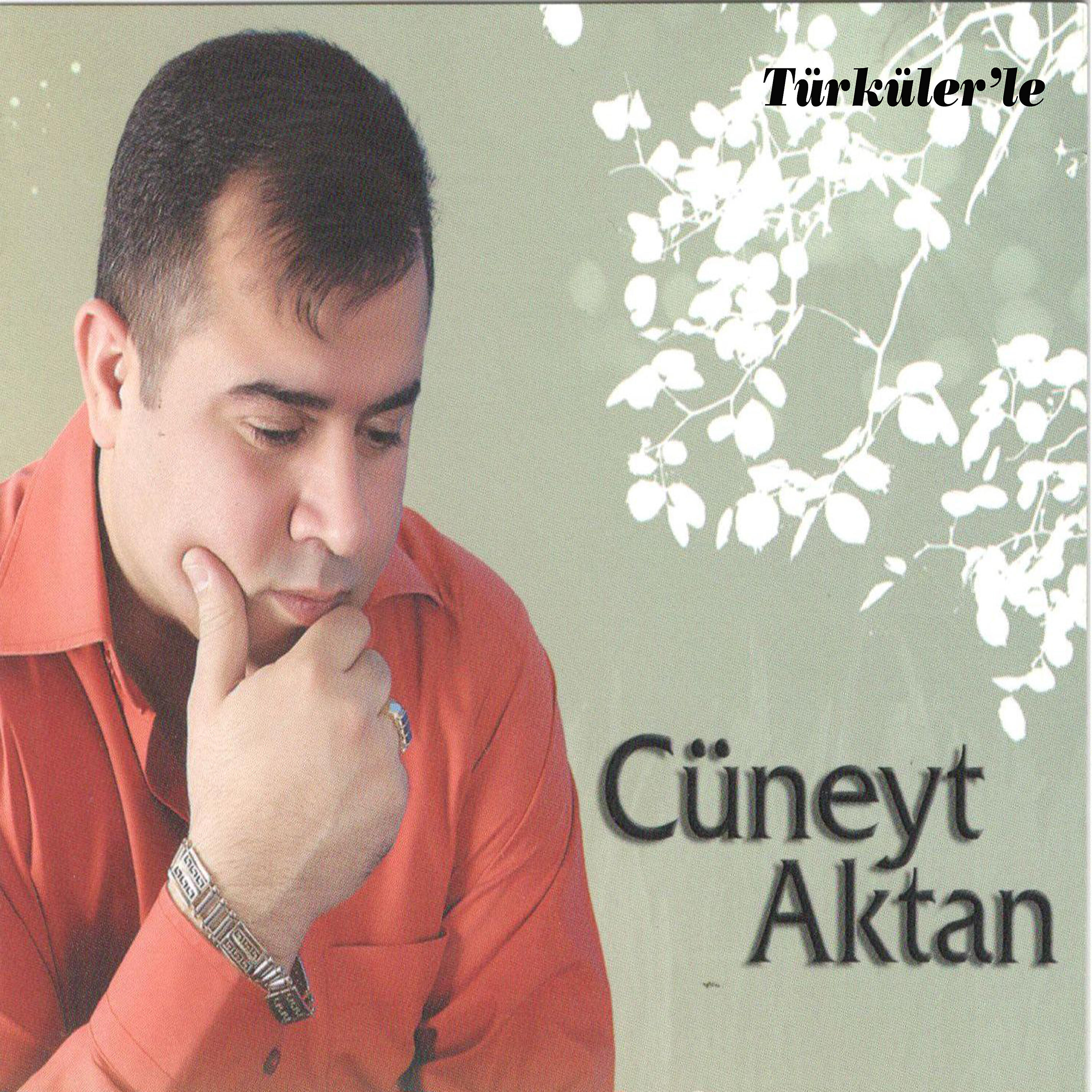 Cüneyt Aktan - Dilan