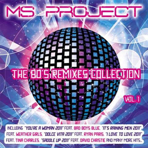 MS Project - Enola Gay 2011