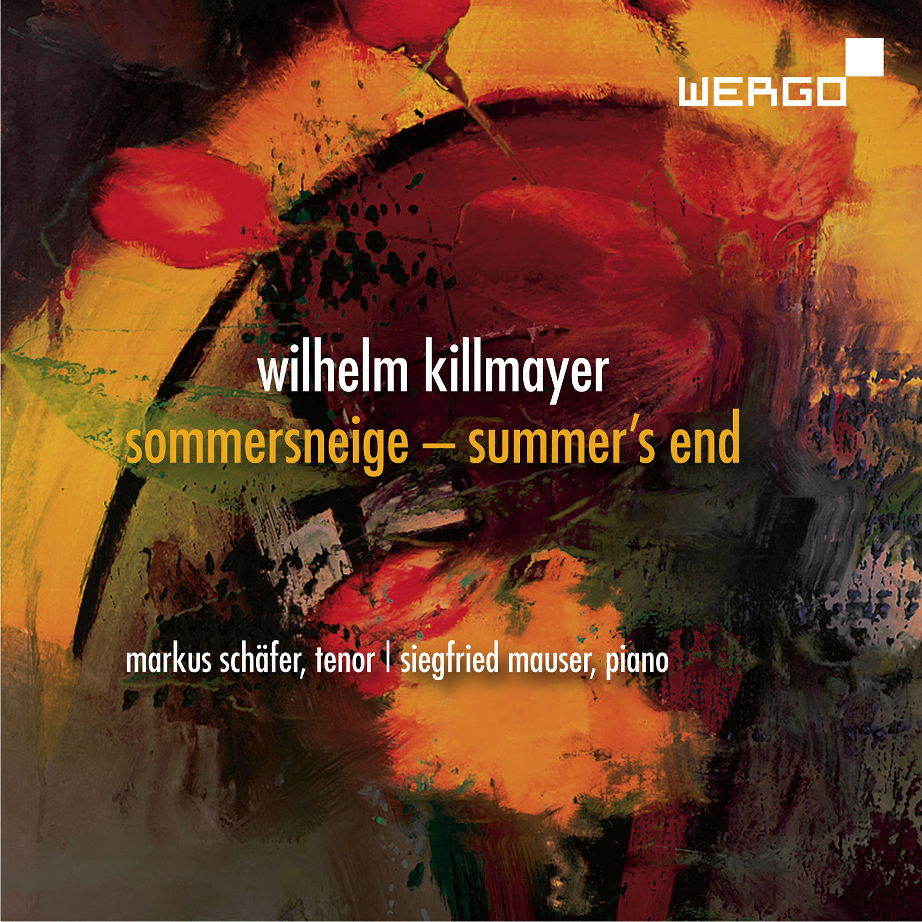 Markus Schäfer - Hölderlin-Lieder: III. Der Winter (Wenn ungesehen ...)