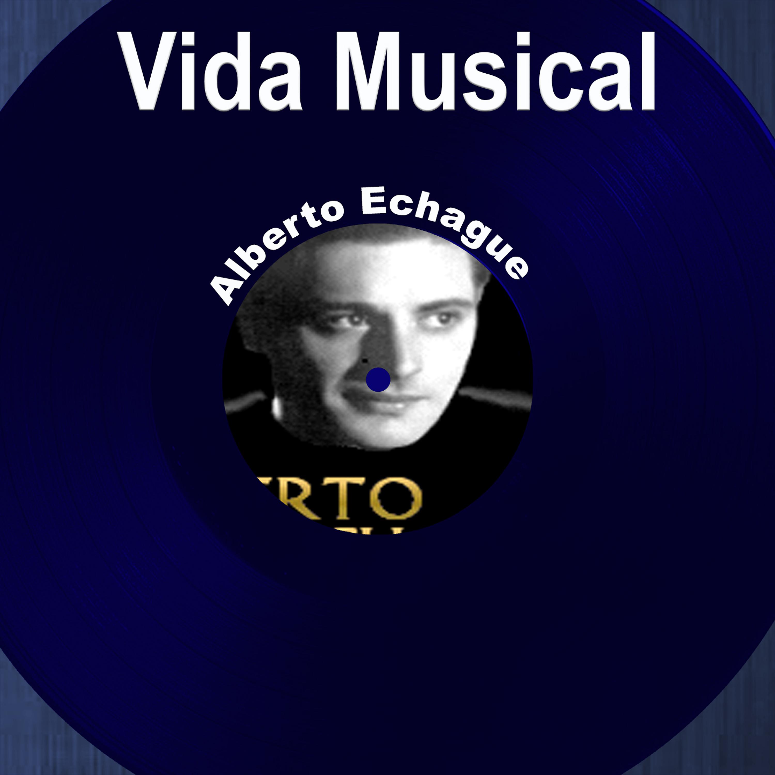 Постер альбома Vida Musical