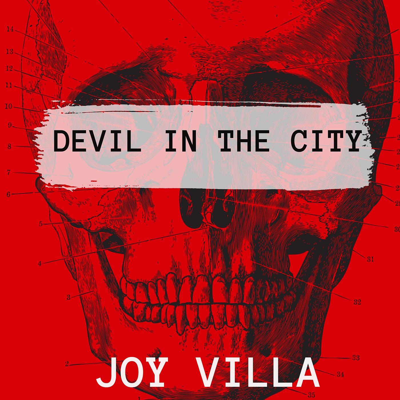 Постер альбома Devil in the City