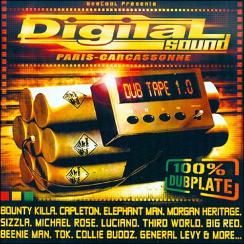 Постер альбома Digital Sound Dub Tape 1.0 (100% Dubplate)