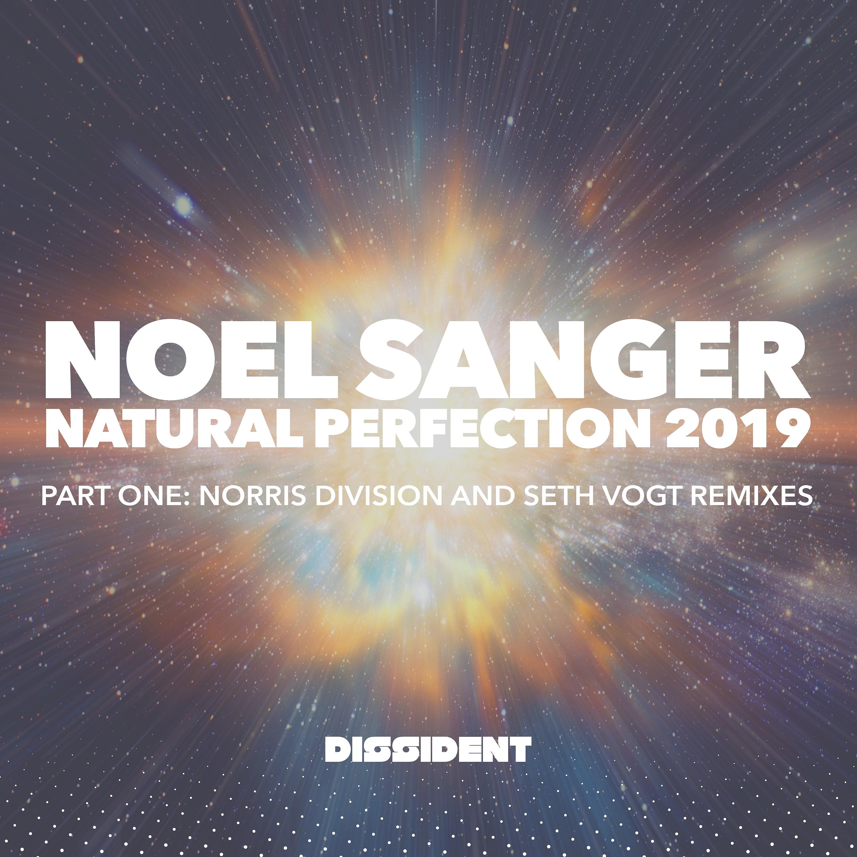 Постер альбома Natural Perfection (2019 Remixes - Part 1)