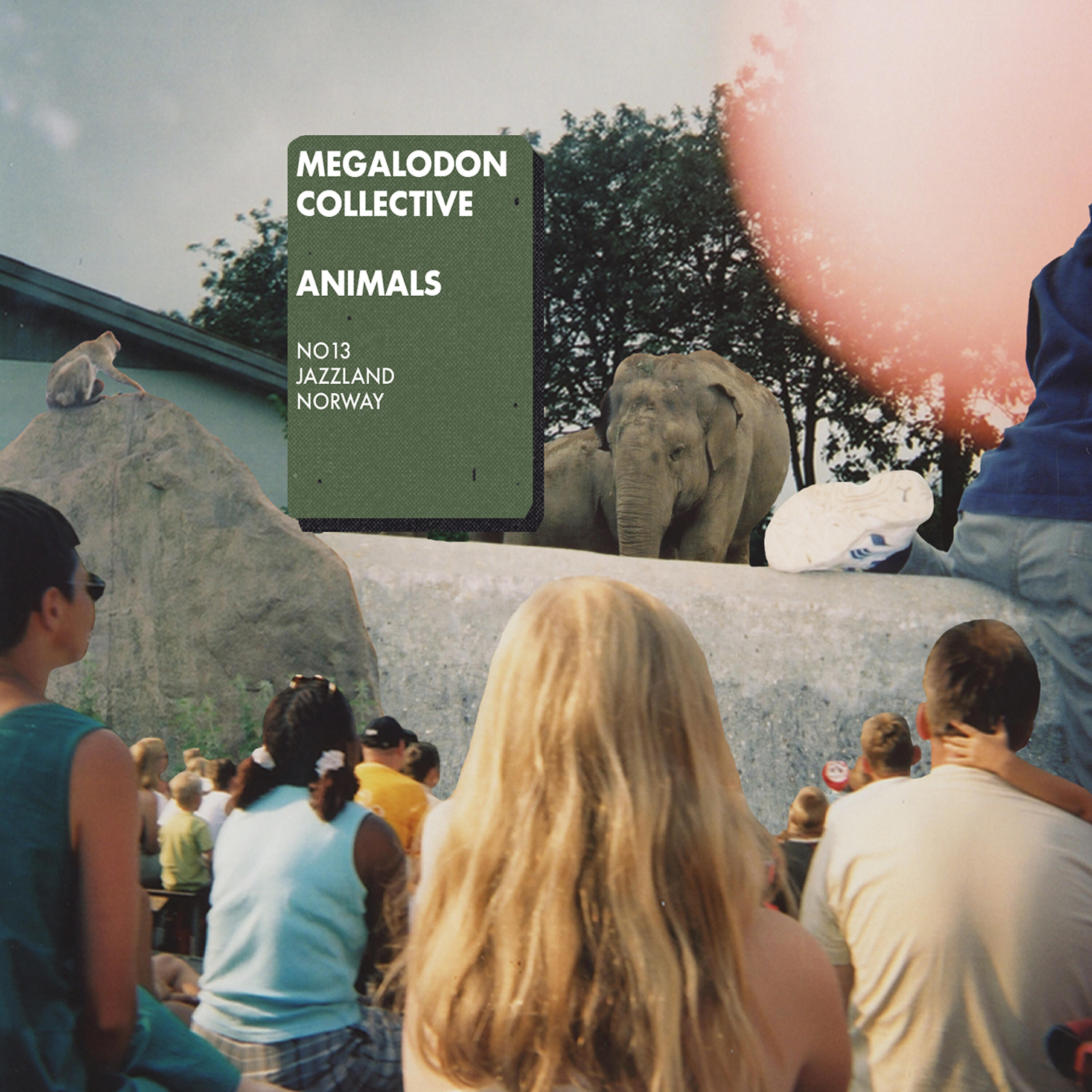 Megalodon Collective - Black Bike