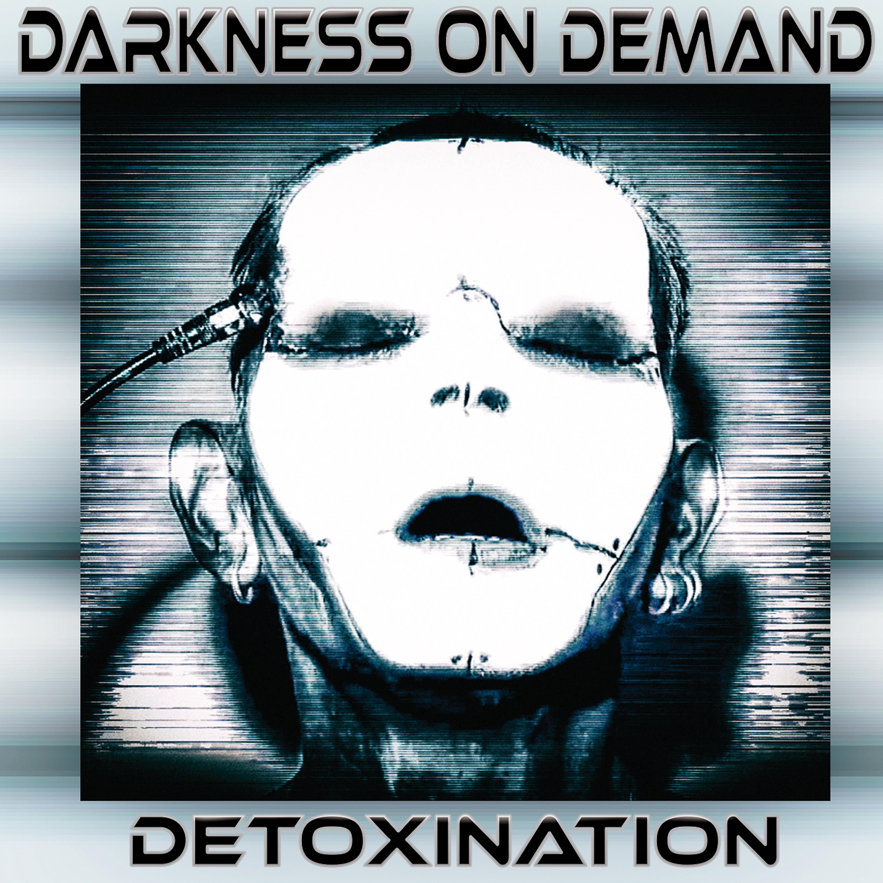 Постер альбома Detoxination