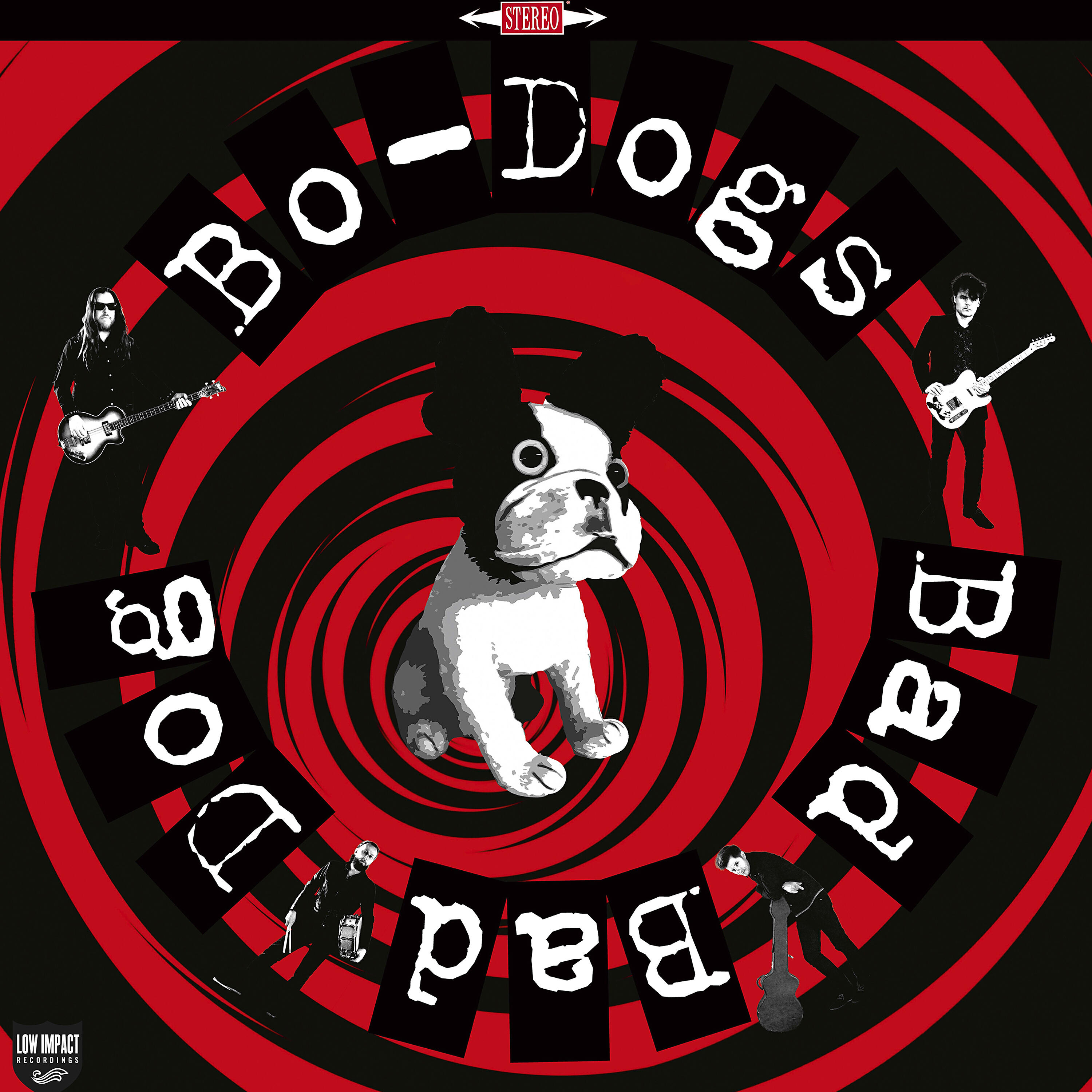 Bo-Dogs - Dog Meets Skunk