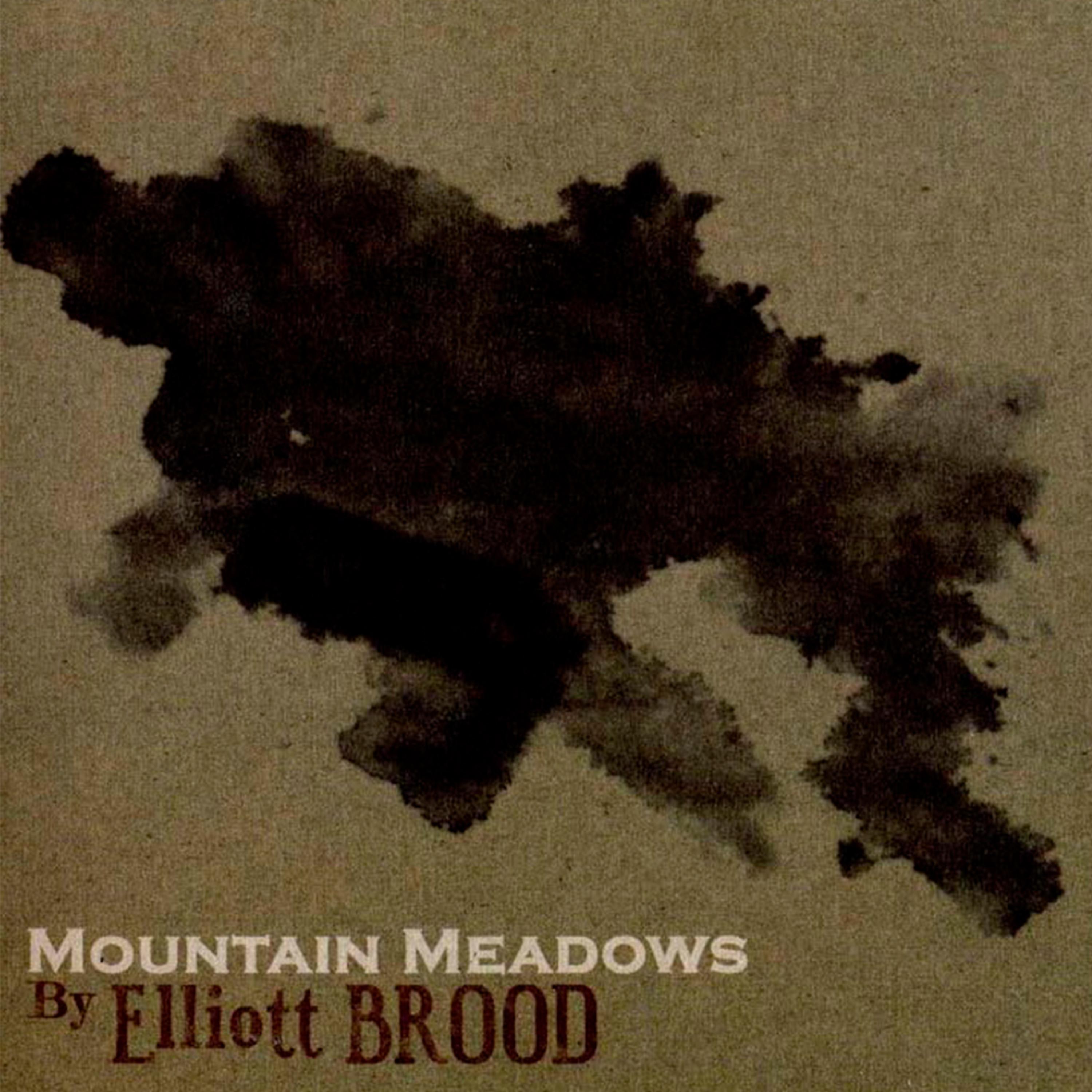 Постер альбома Mountain Meadows