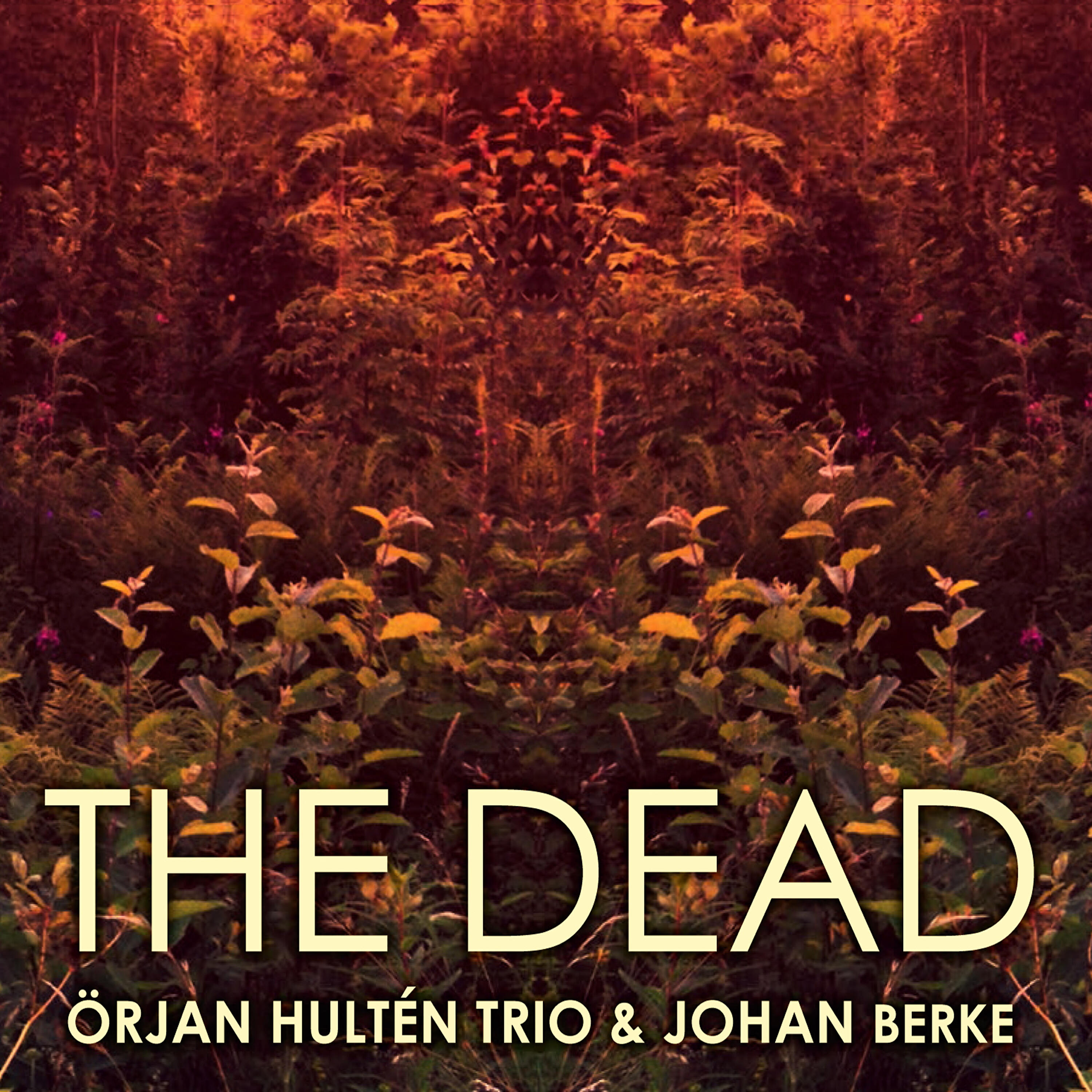 Örjan Hultén Trio - L'ascenseur
