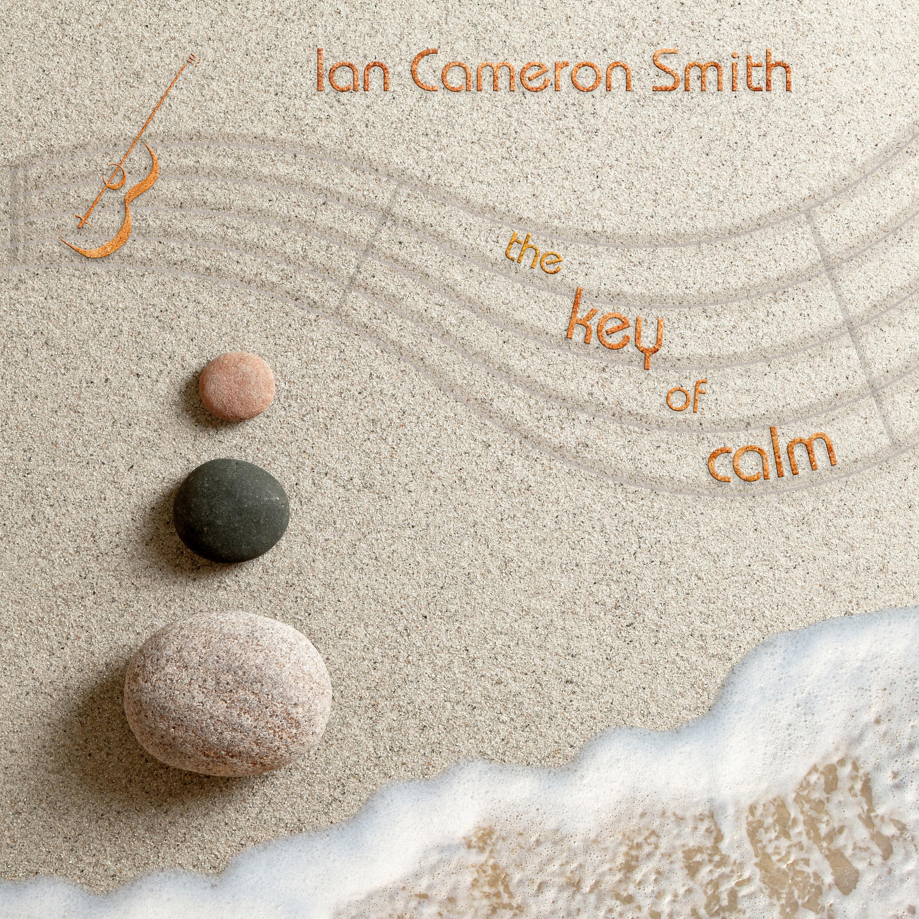 Постер альбома The Key of Calm