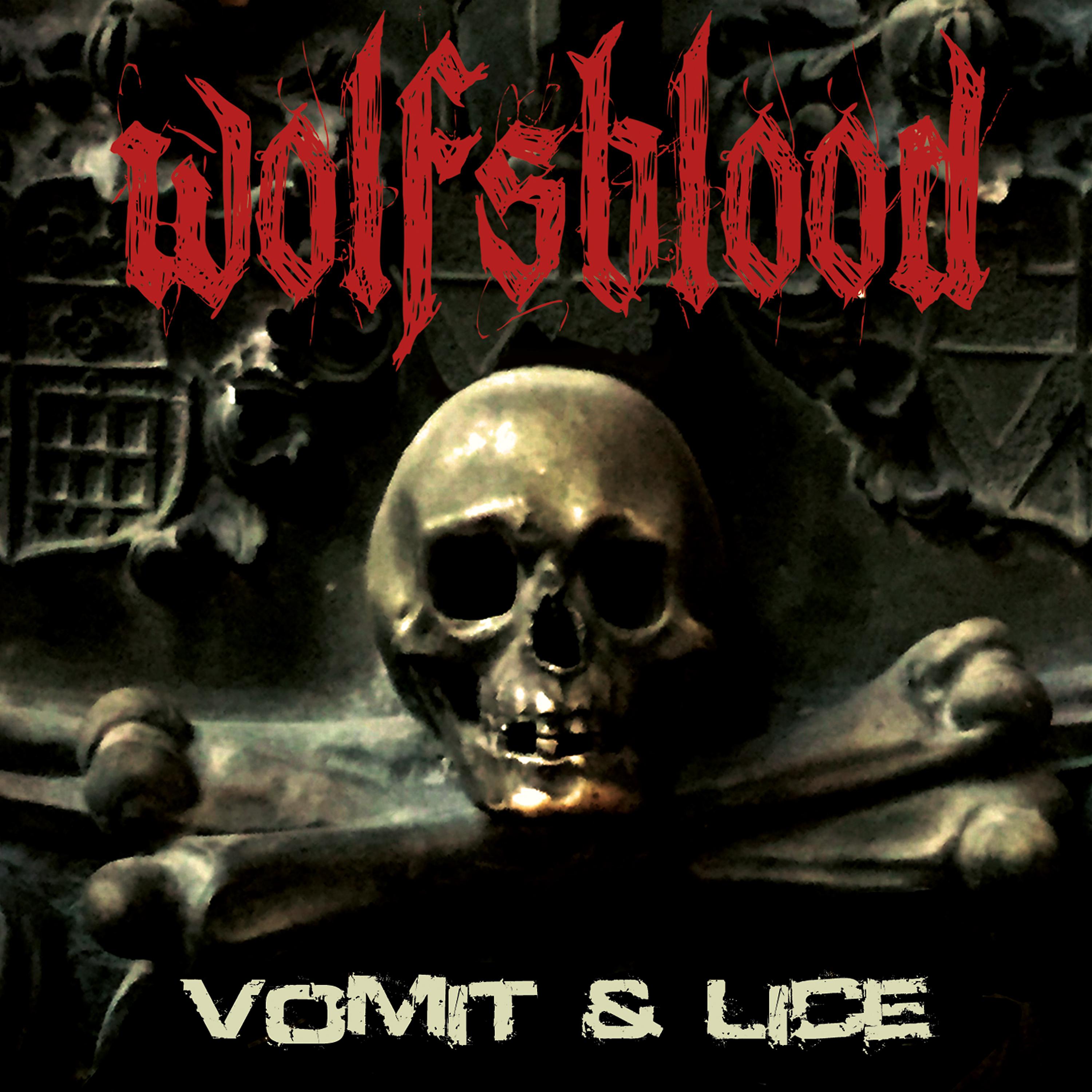 Постер альбома Vomit & Lice