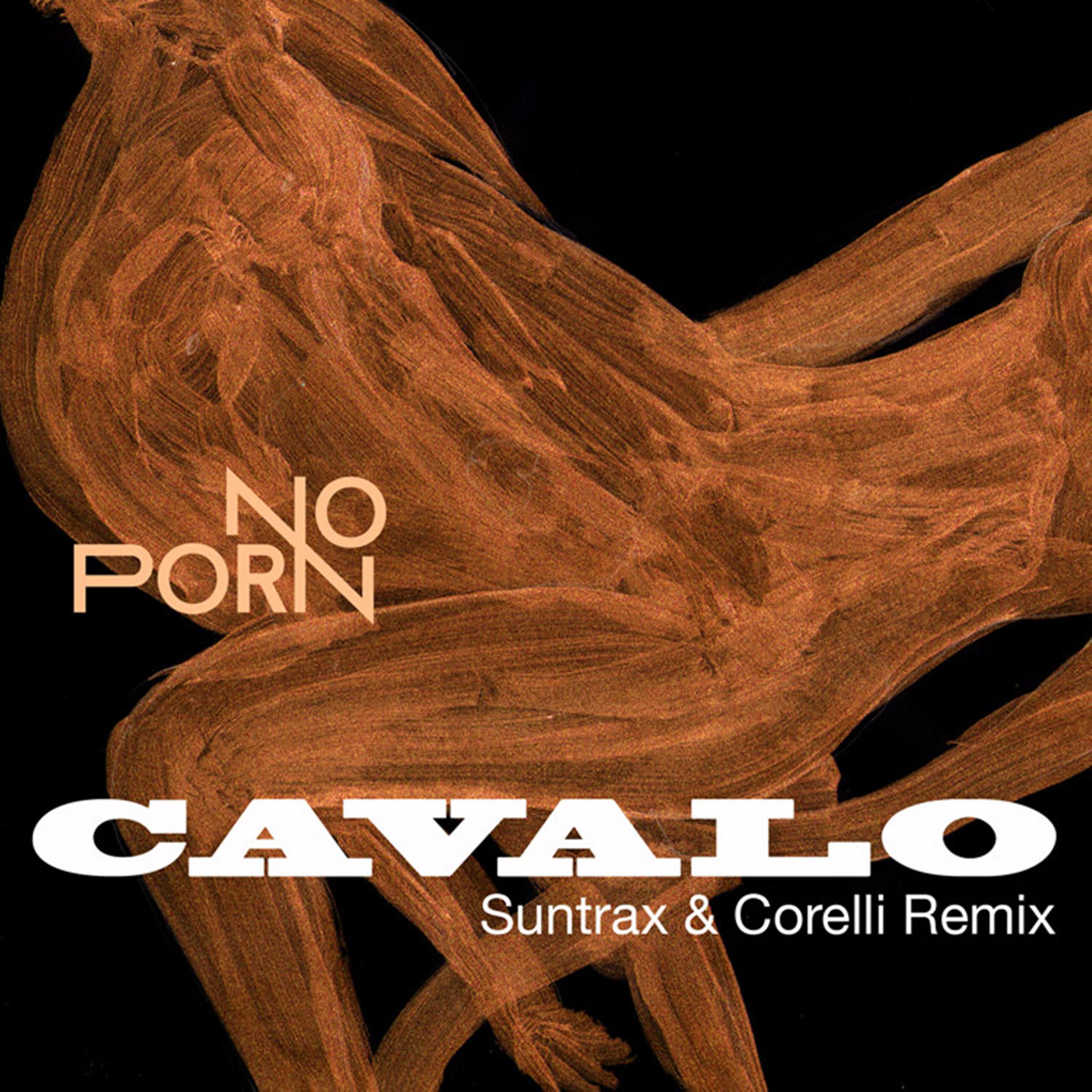 Постер альбома Cavalo (Remix)