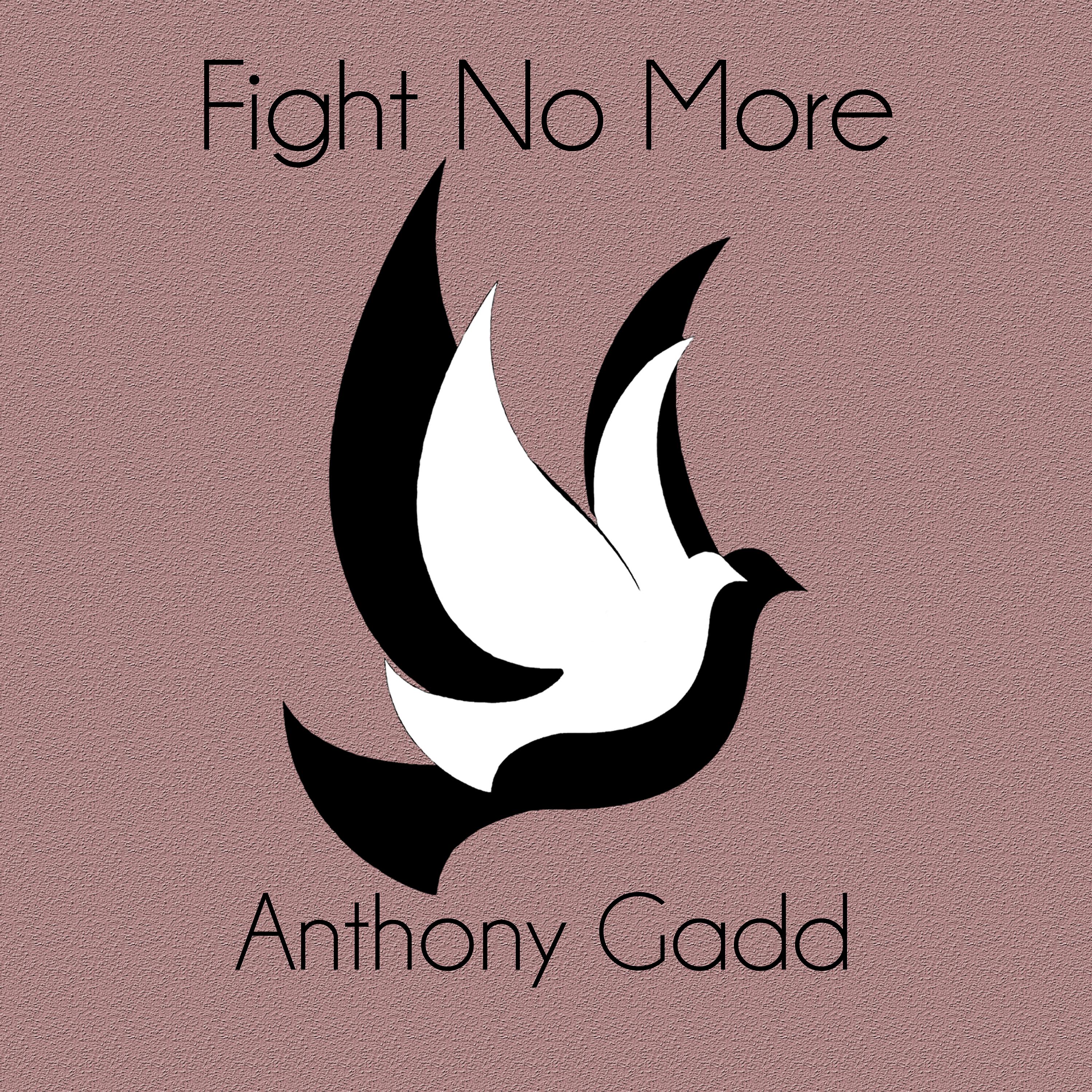Постер альбома Fight No More