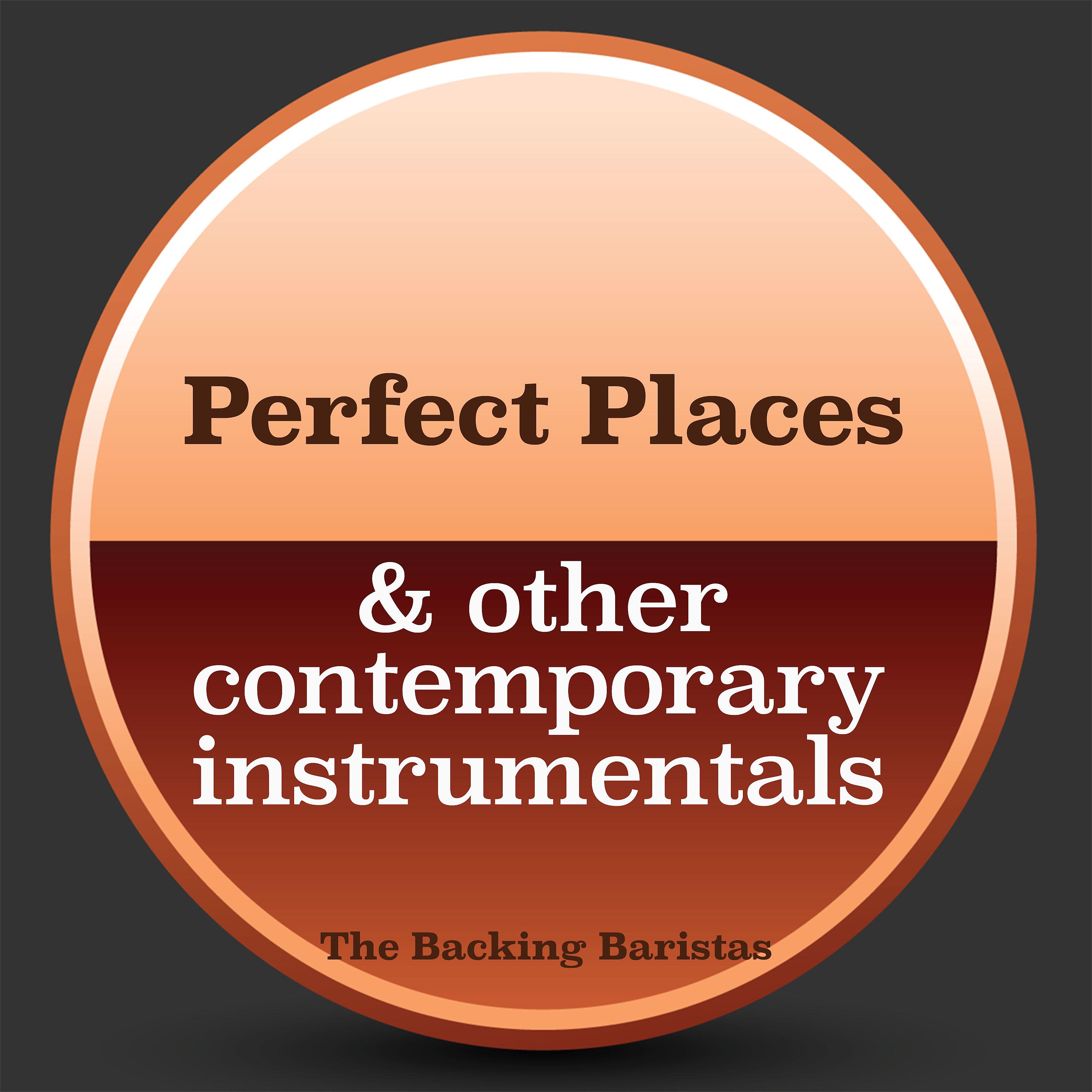 Постер альбома Perfect Places & Other Contemporary Instrumental Versions