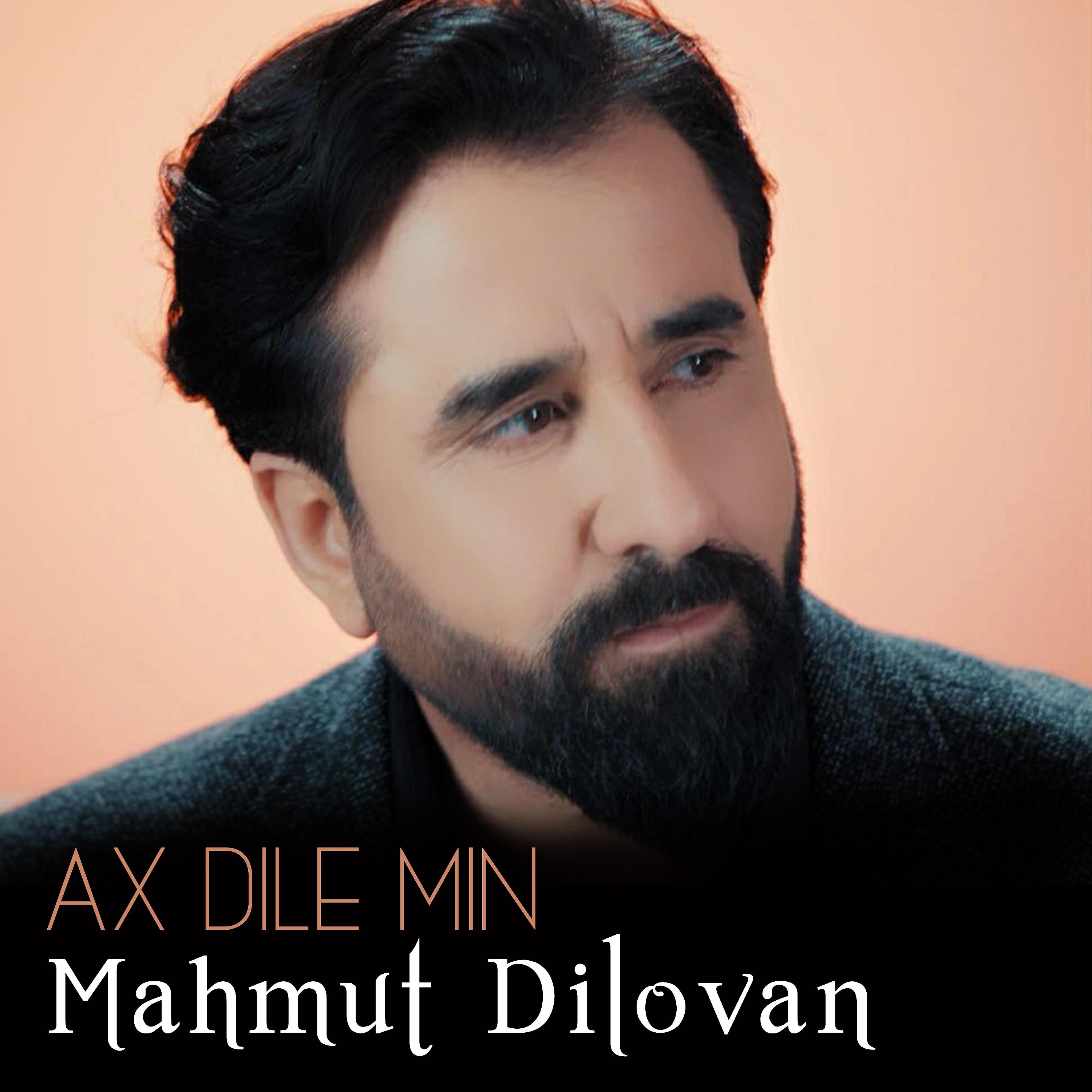 Постер альбома Ax Dilê Min