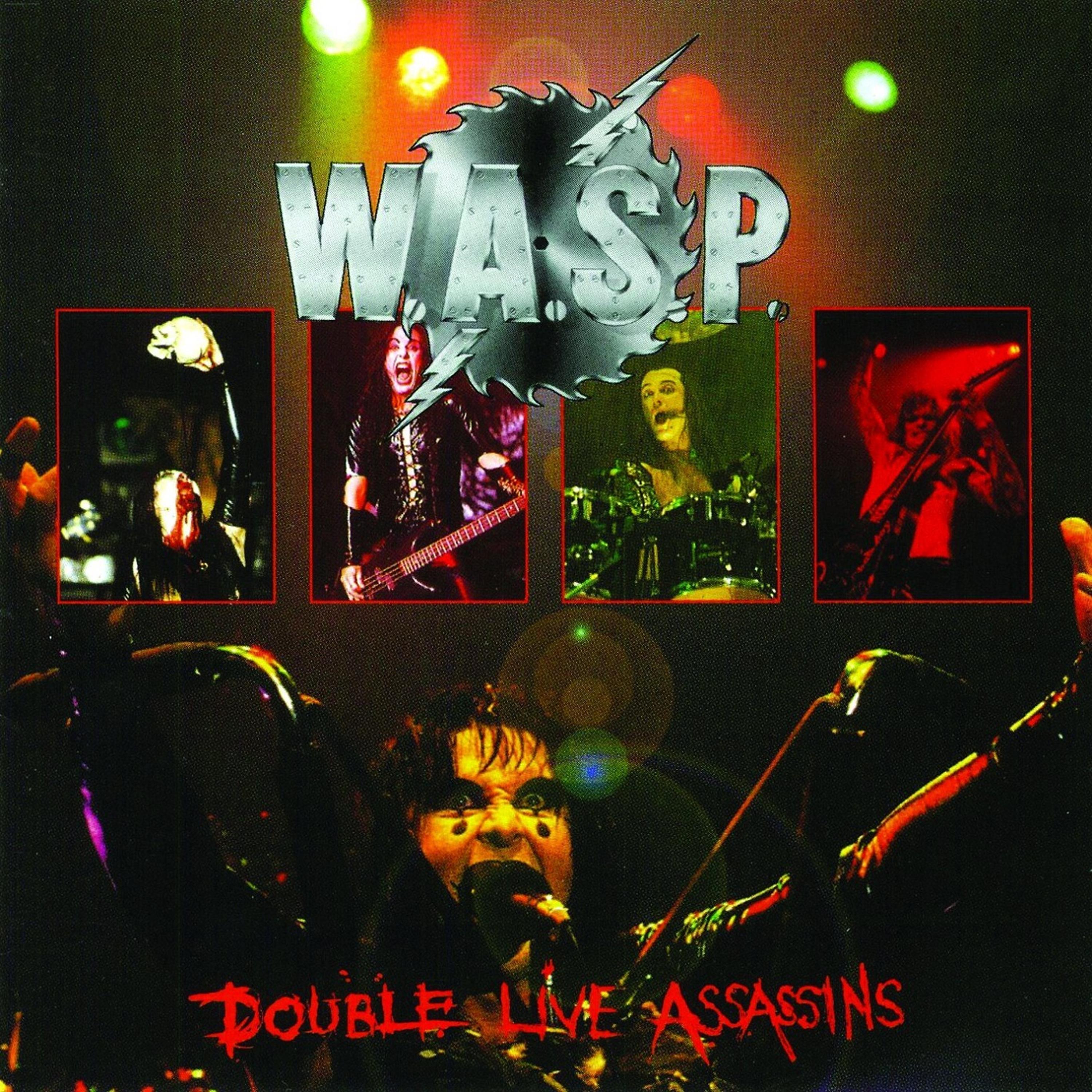 Постер альбома Double Live Assassins