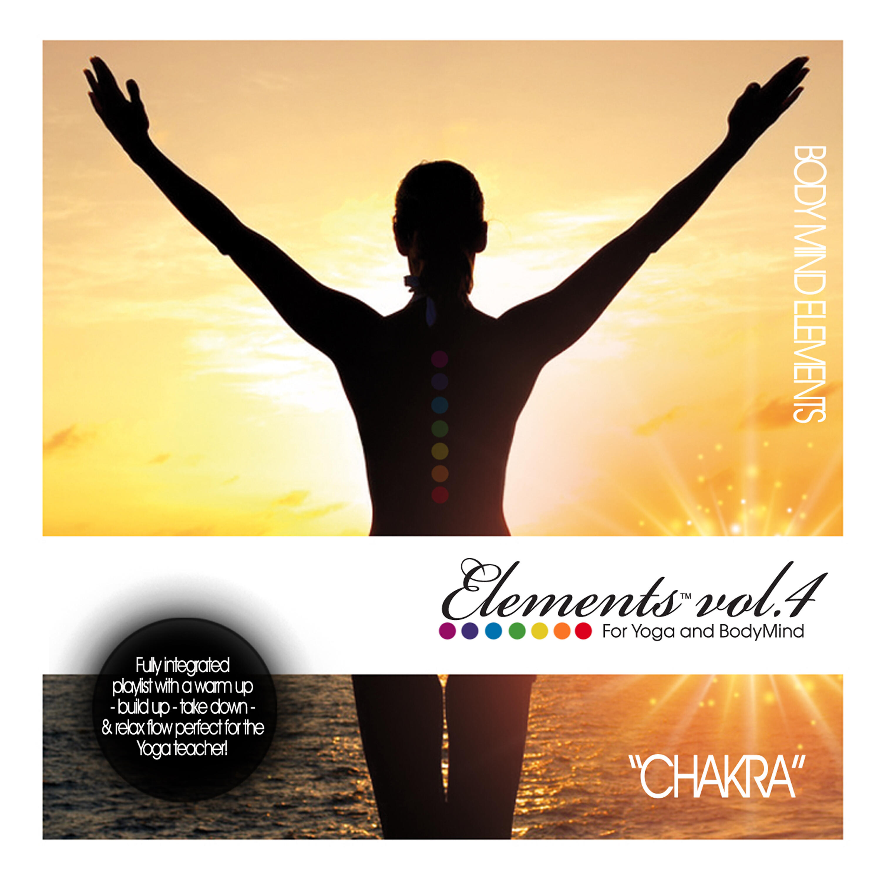 Body Mind Elements - Liquefied