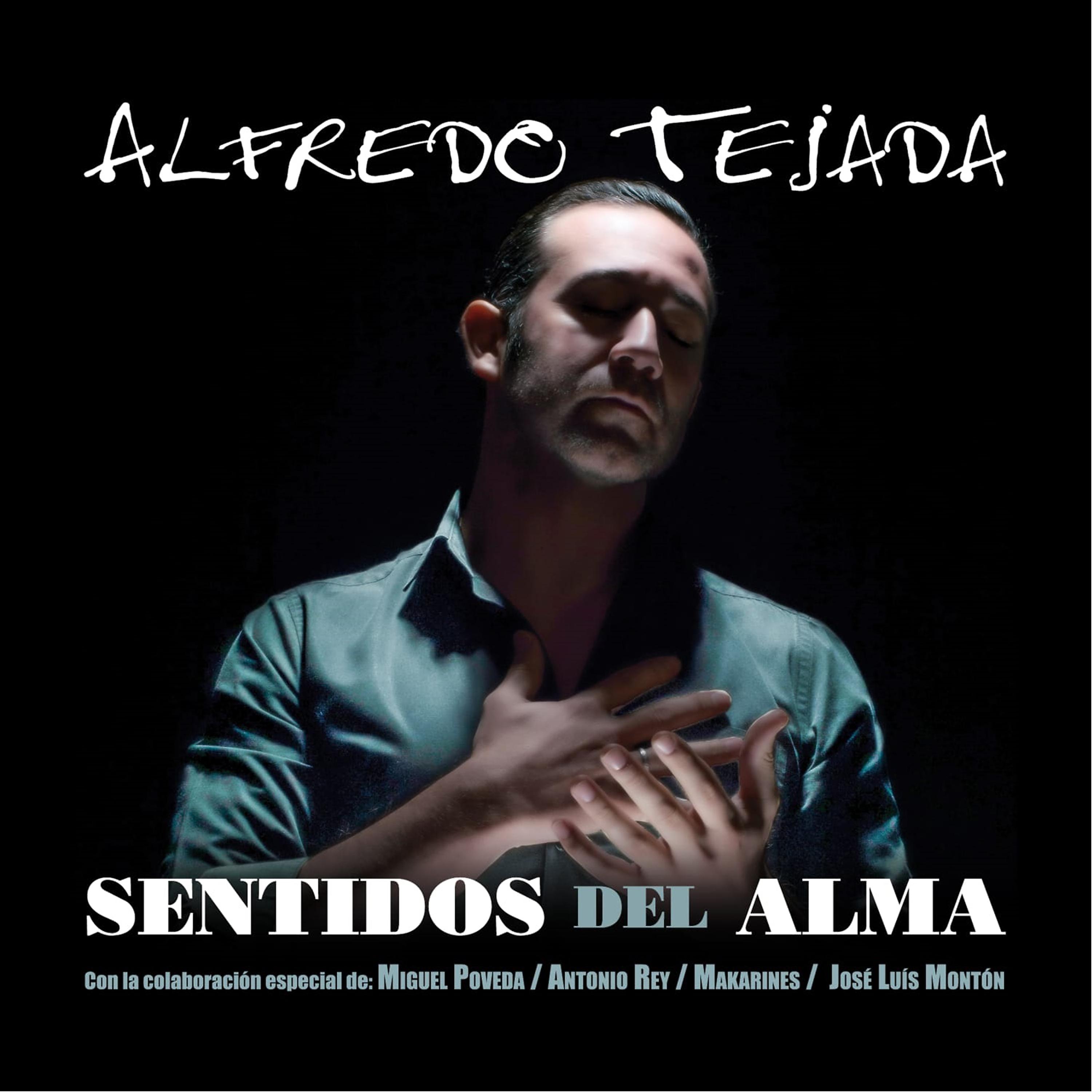 Постер альбома Sentidos del Alma