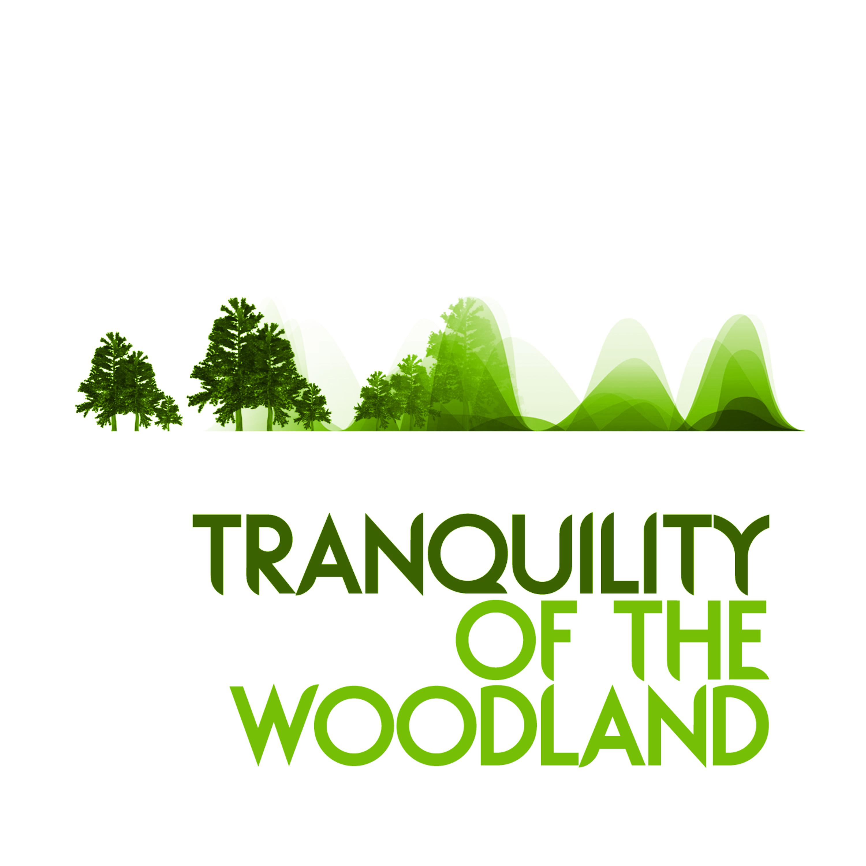 Постер альбома Tranquility of the Woodland