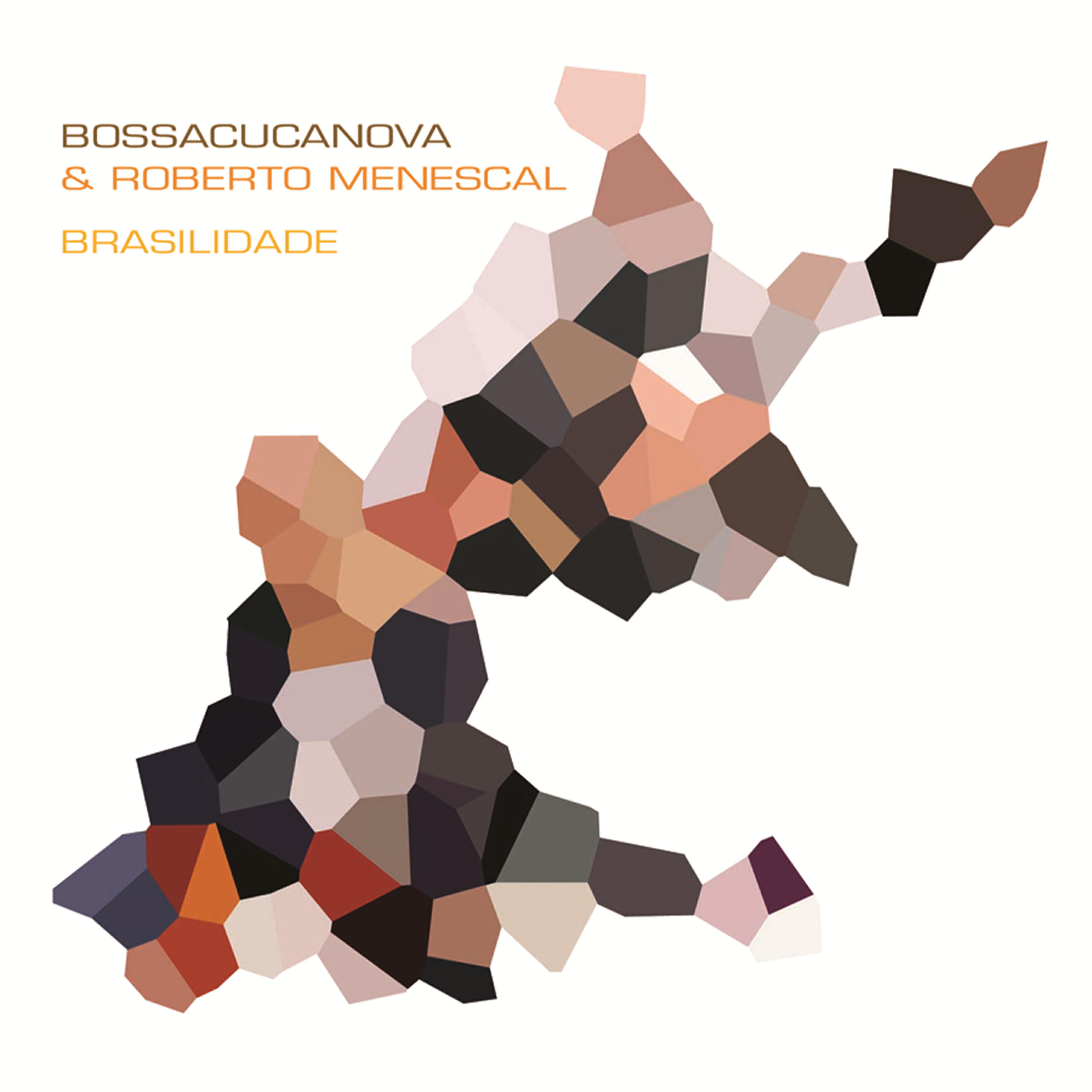 Bossacucanova - A Morte De Um Deus De Sal
