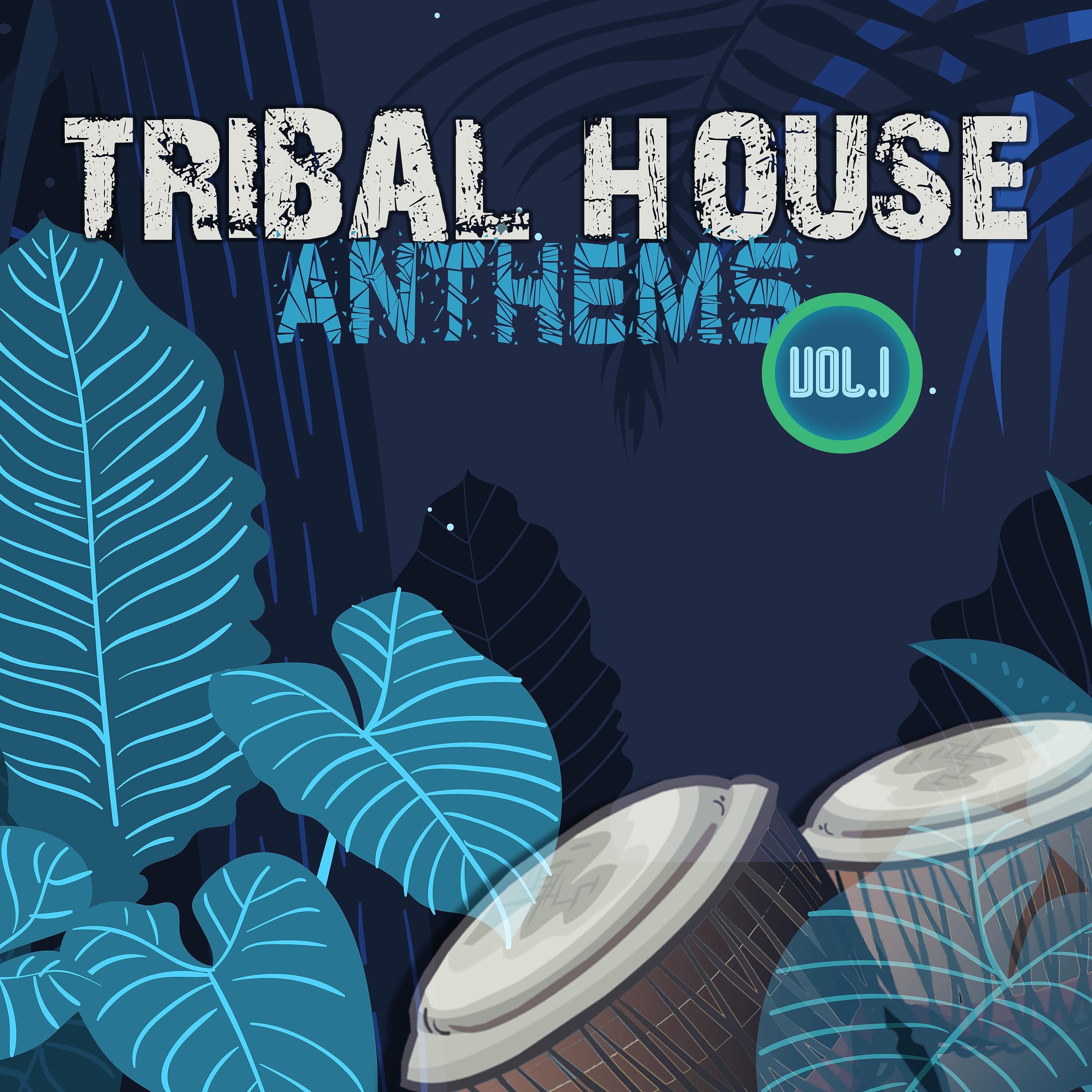 Постер альбома Tribal House Anthems, Vol. 1