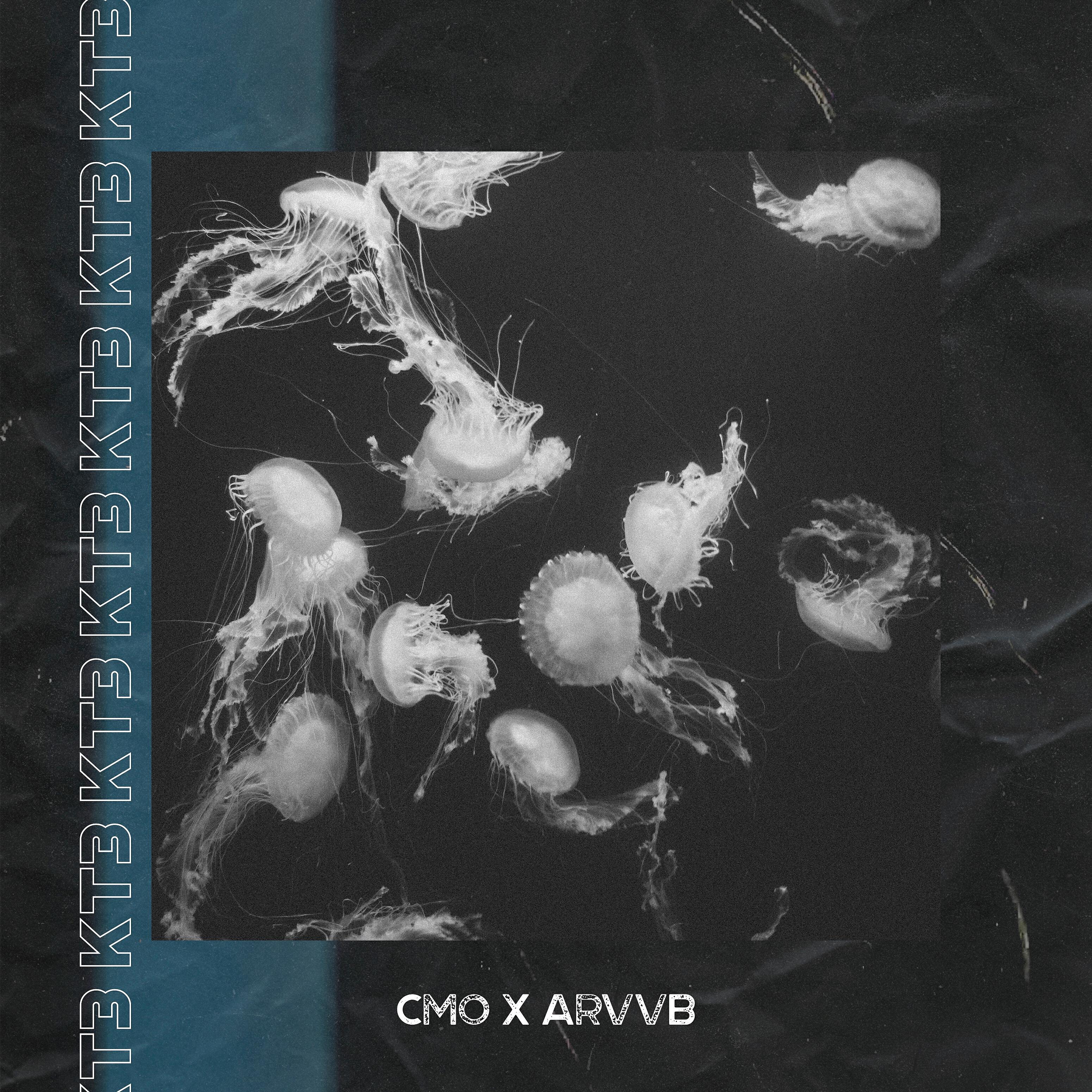 ARVVB - Ктз