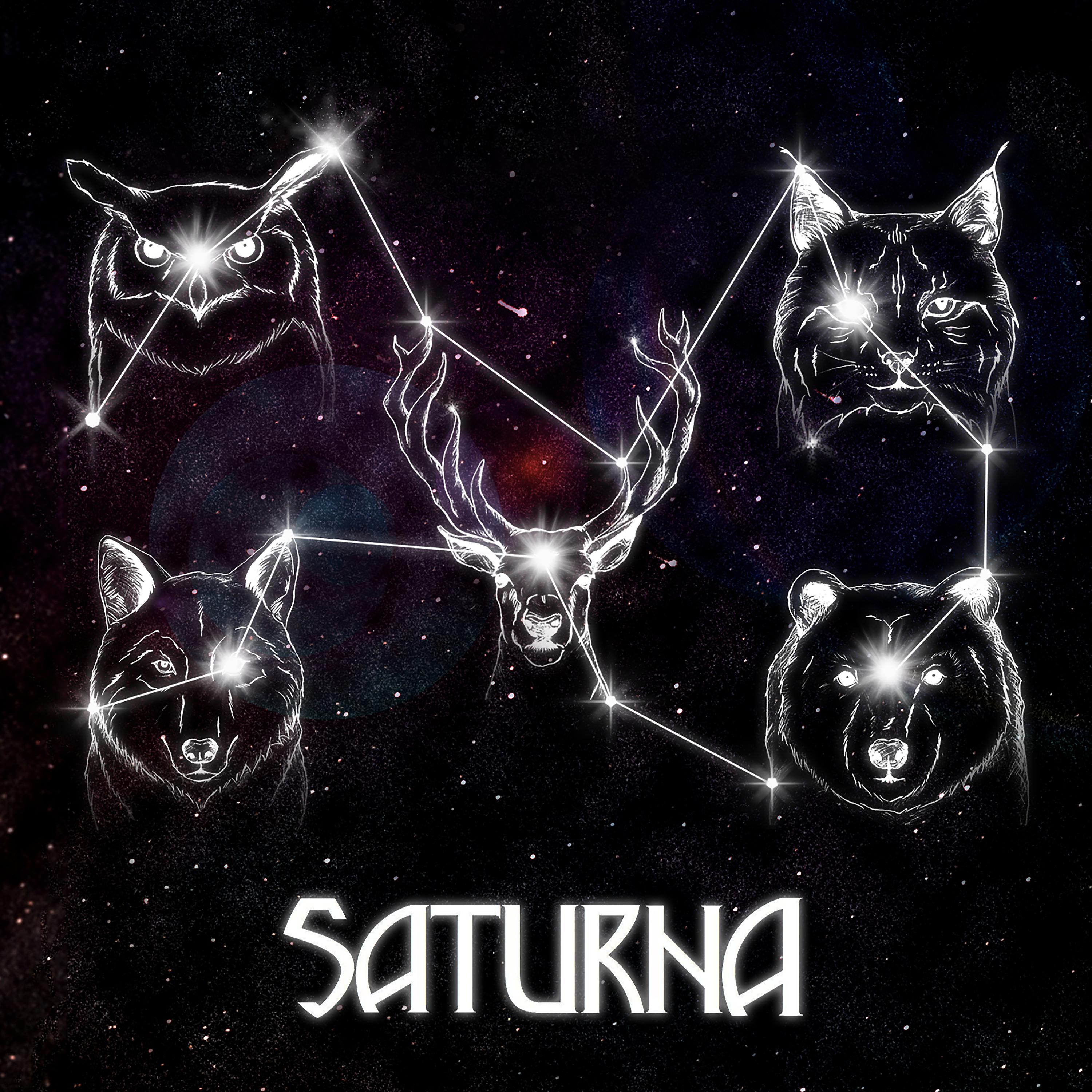 Постер альбома Saturna