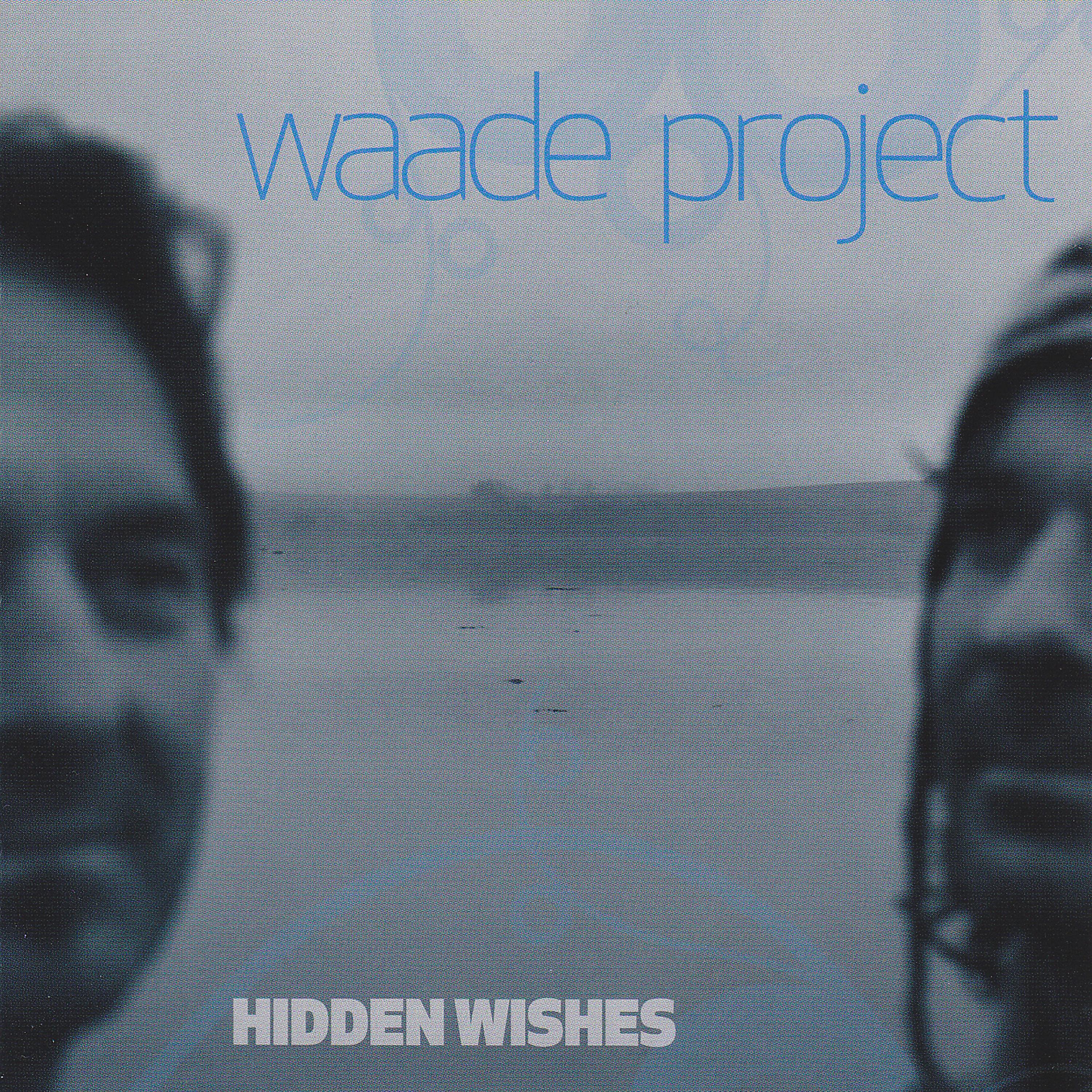 Постер альбома Hidden Wishes