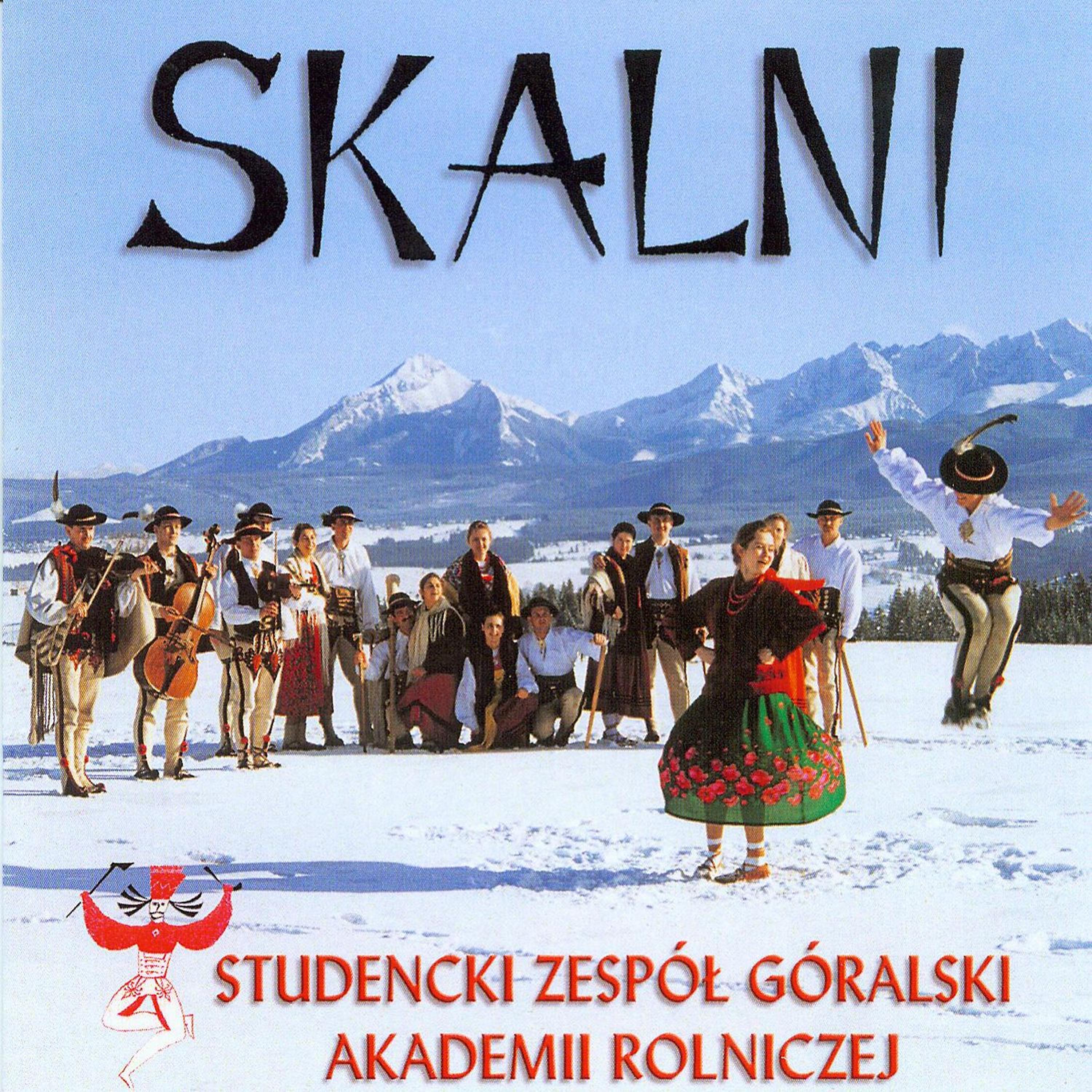 Постер альбома Skalni