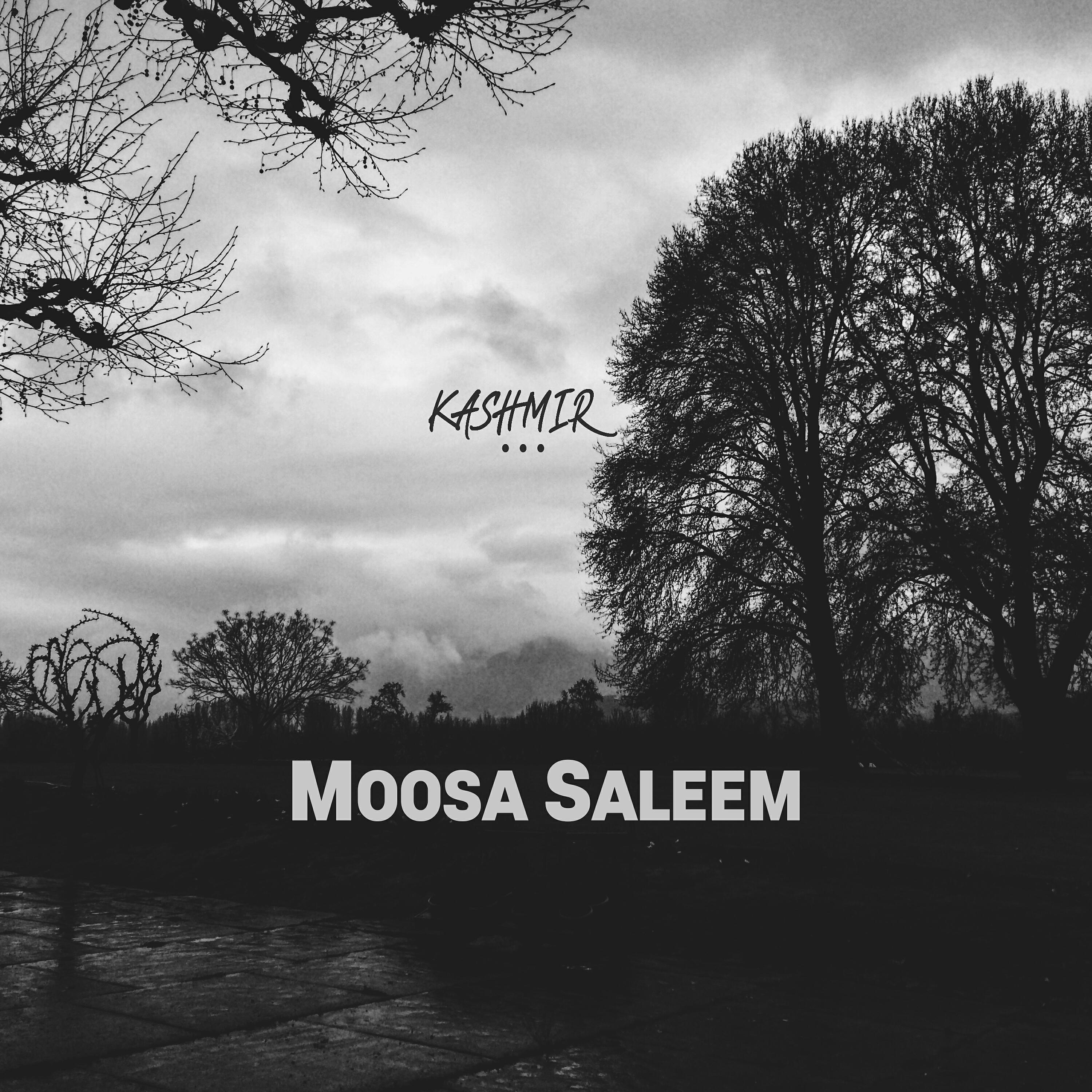 Moosa Saleem - Joyous Jhelum
