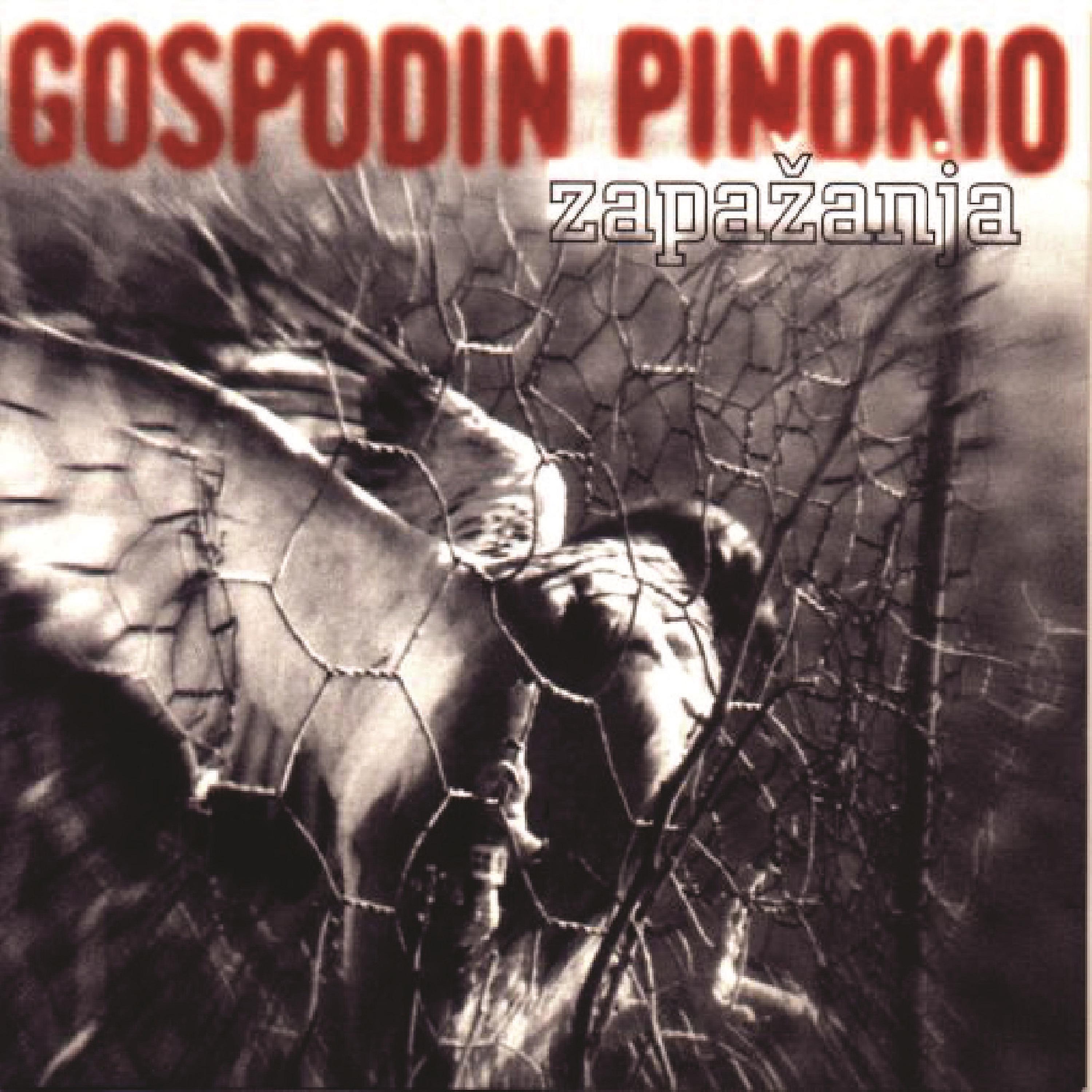 Постер альбома Zapazanja