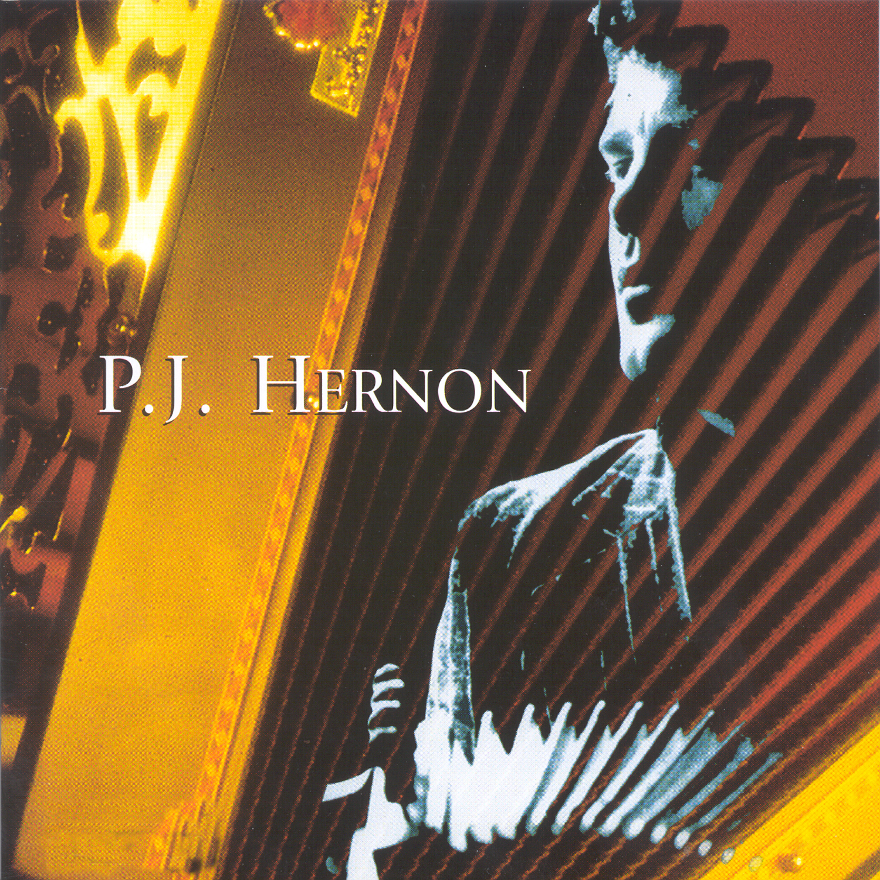 P.J. Hernon - Larry O' Gaff / An Rógaire Dubh