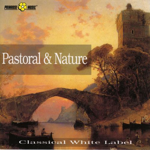 Постер альбома Pastoral And Nature