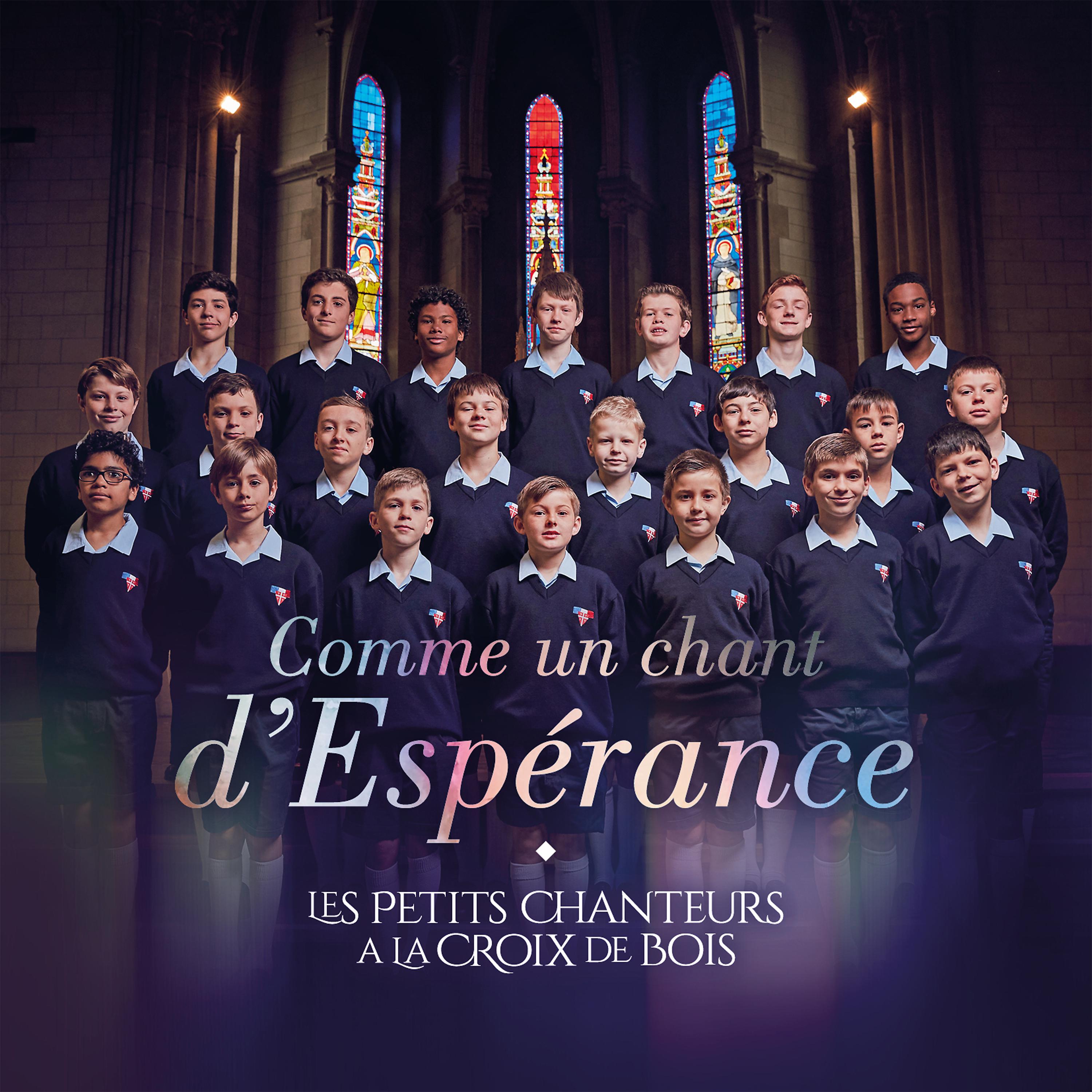Постер альбома Comme un chant d’Espérance