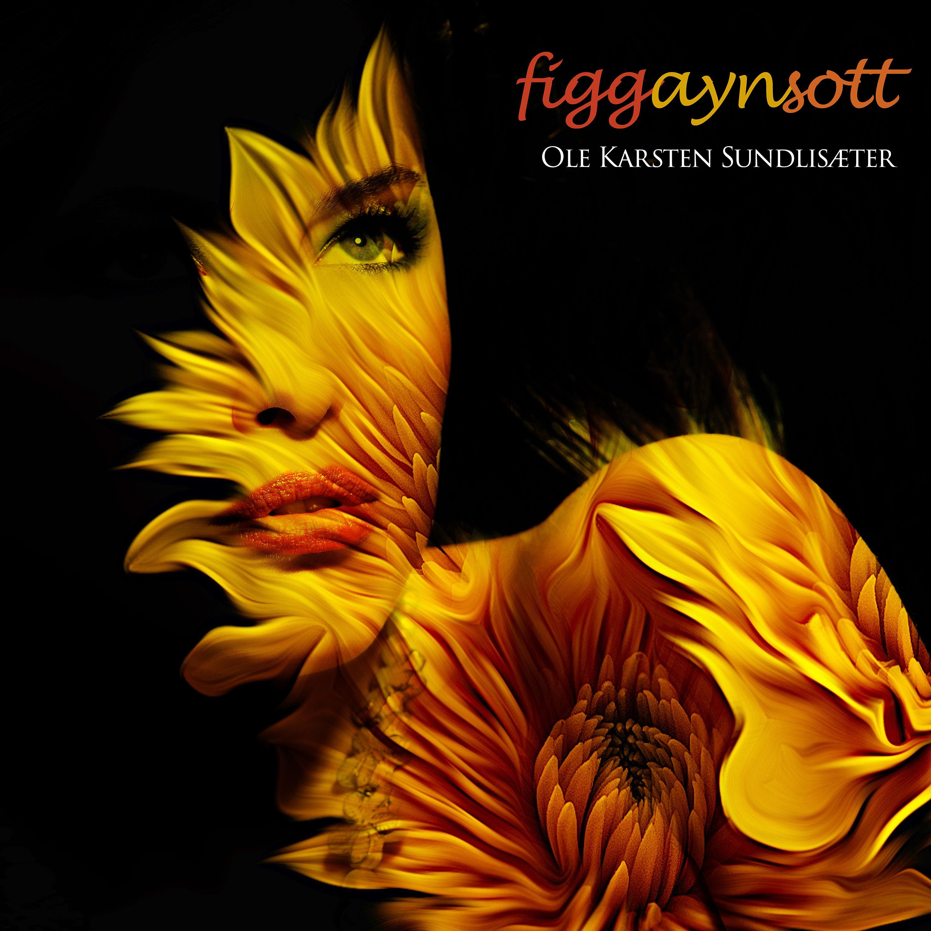 Постер альбома figgaynsott