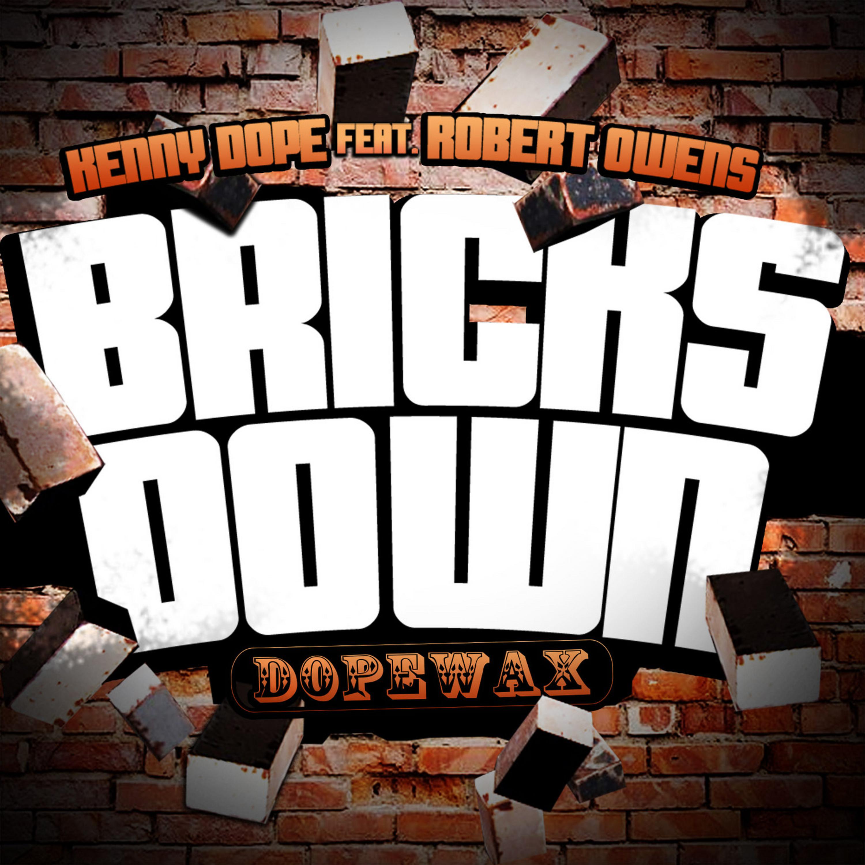 Постер альбома Bricks Down