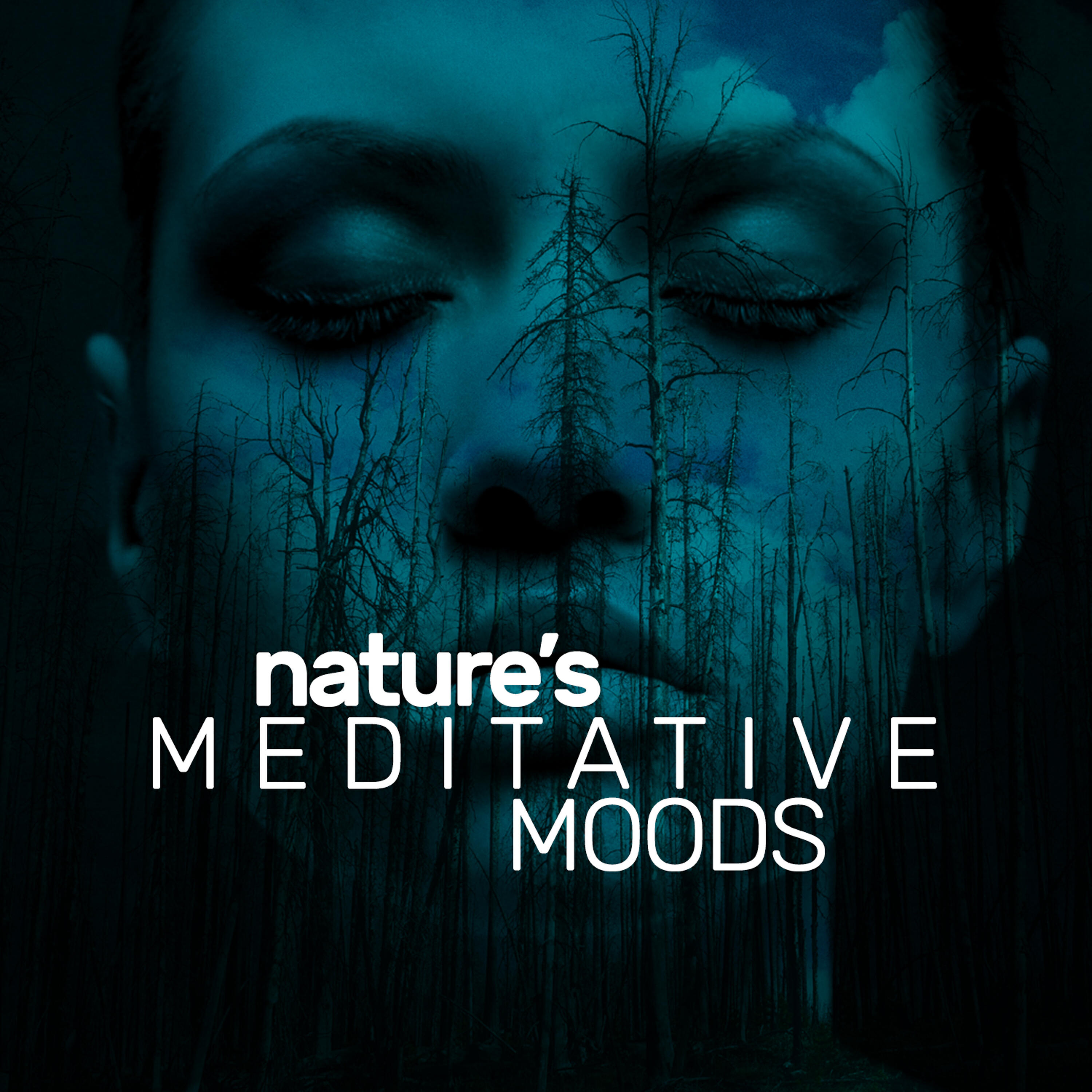 Mediation Sounds of Nature - Evening in the Forest