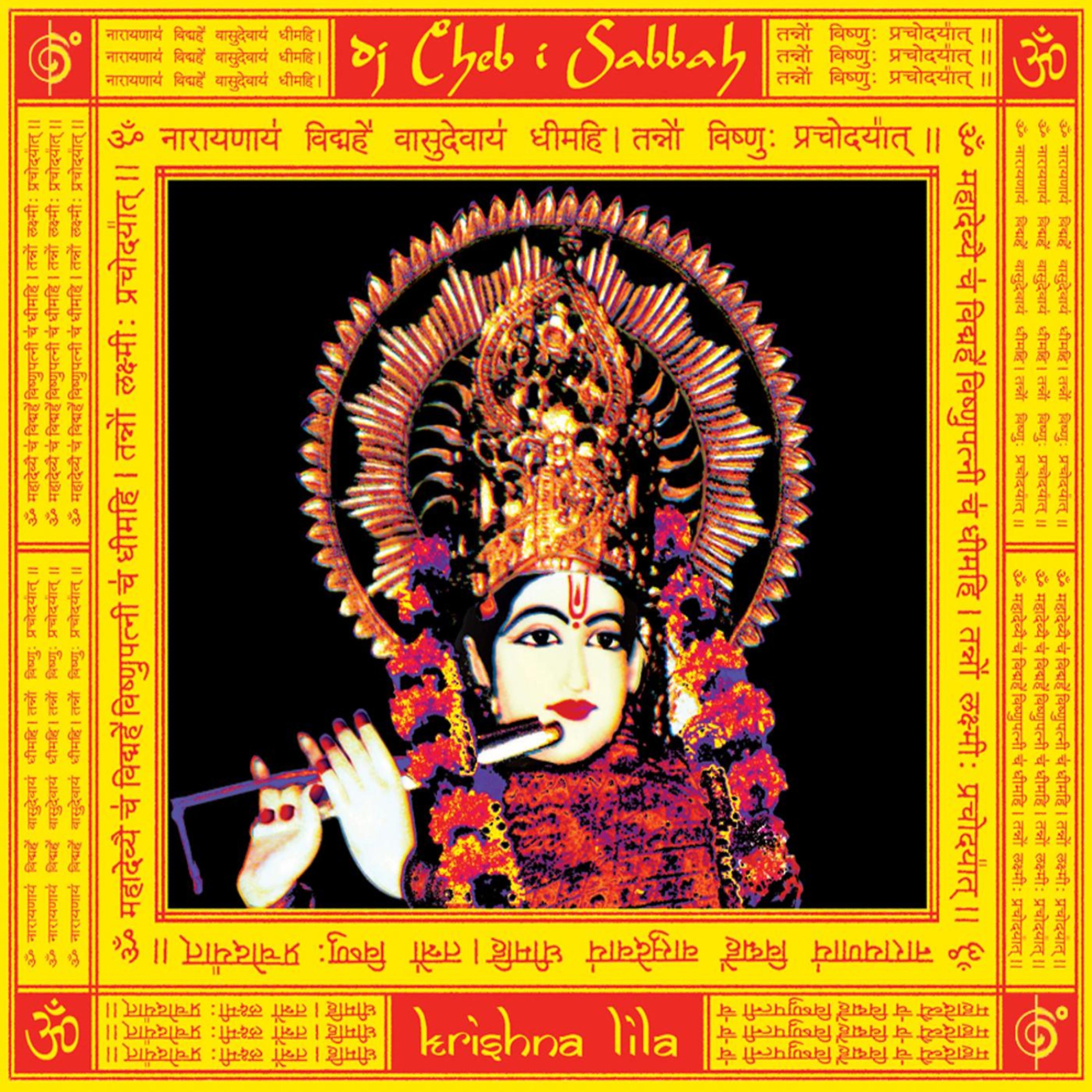 Постер альбома Krishna Lila
