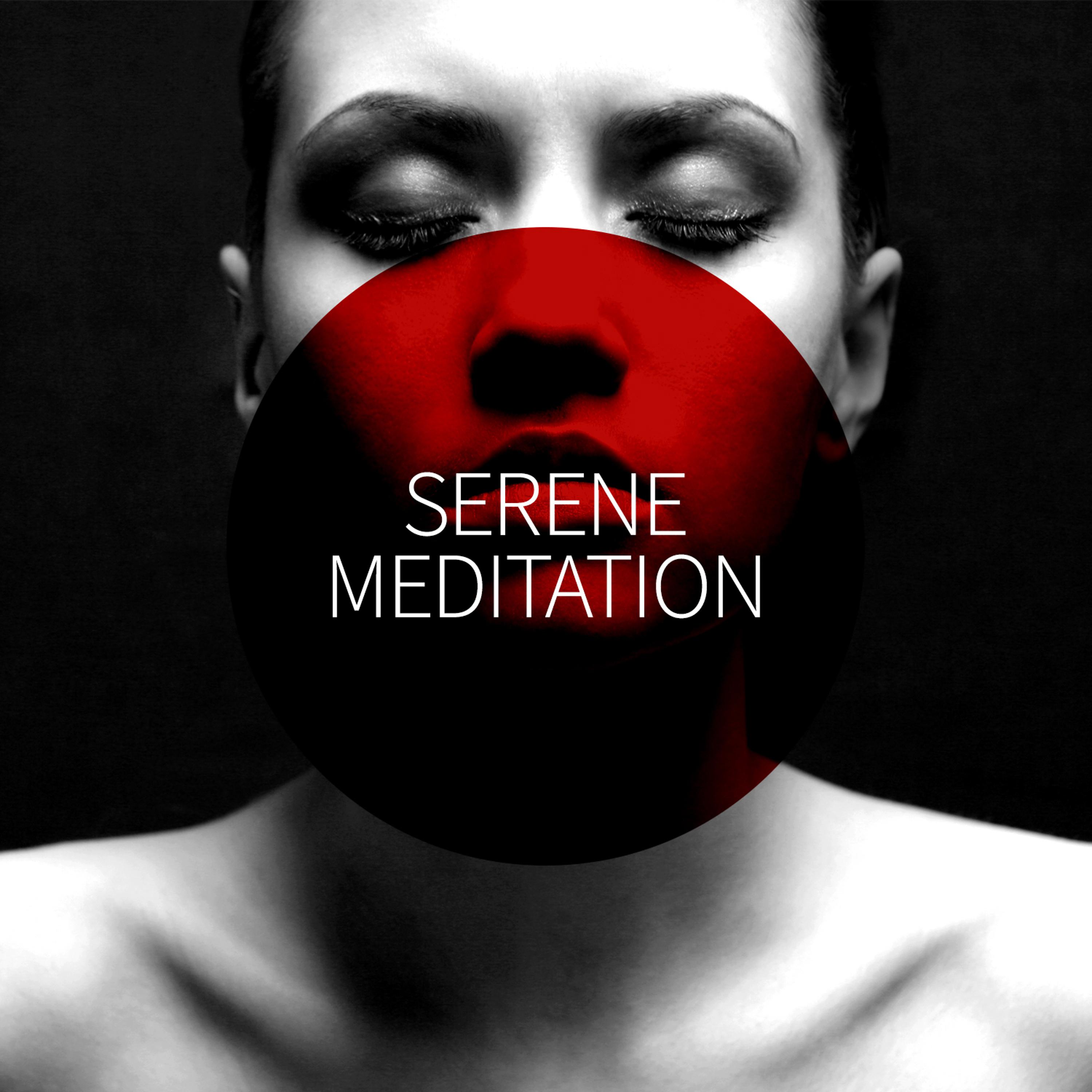 Постер альбома Serene Meditation