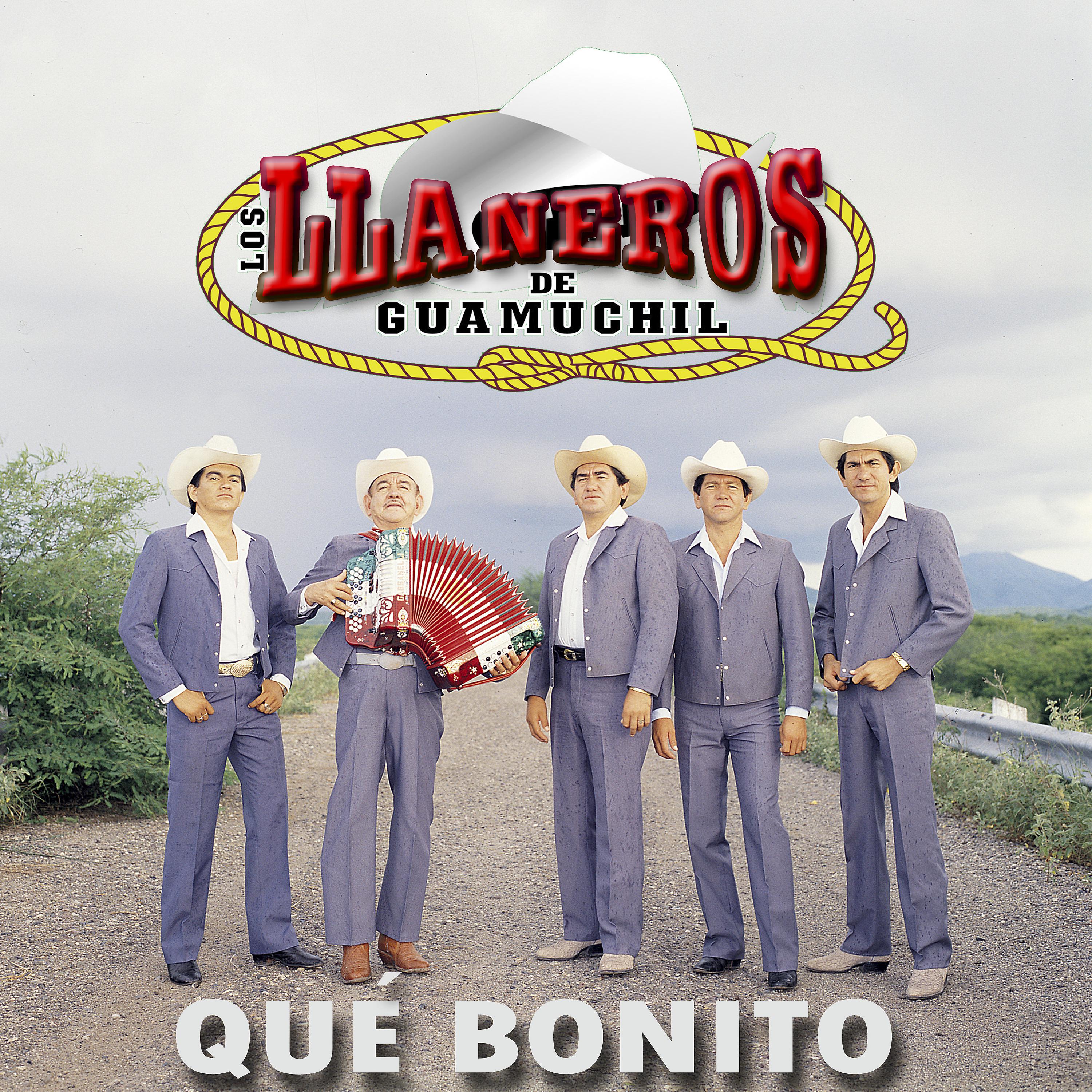 Постер альбома Qué Bonito