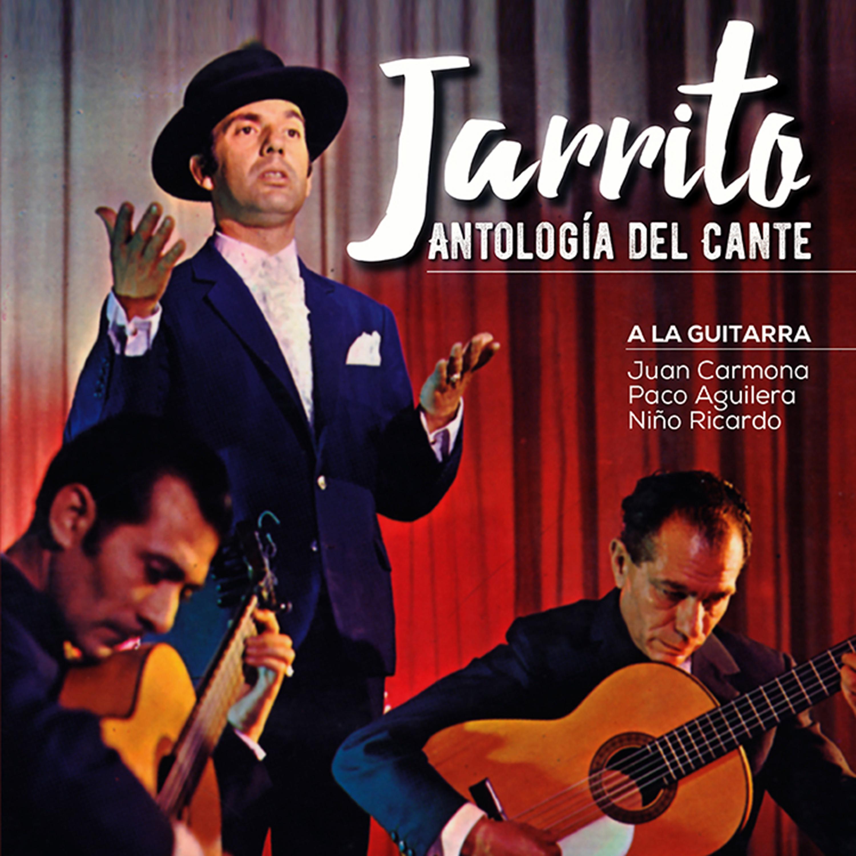 Постер альбома Antología del Cante