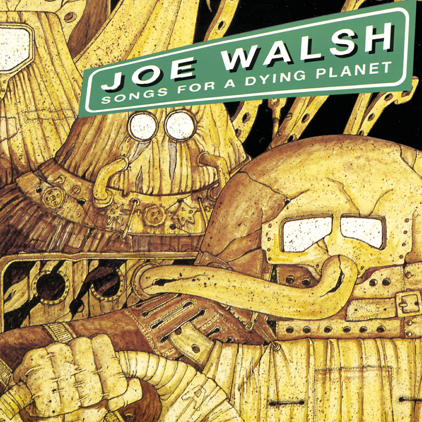 Joe Walsh - Coyote Love