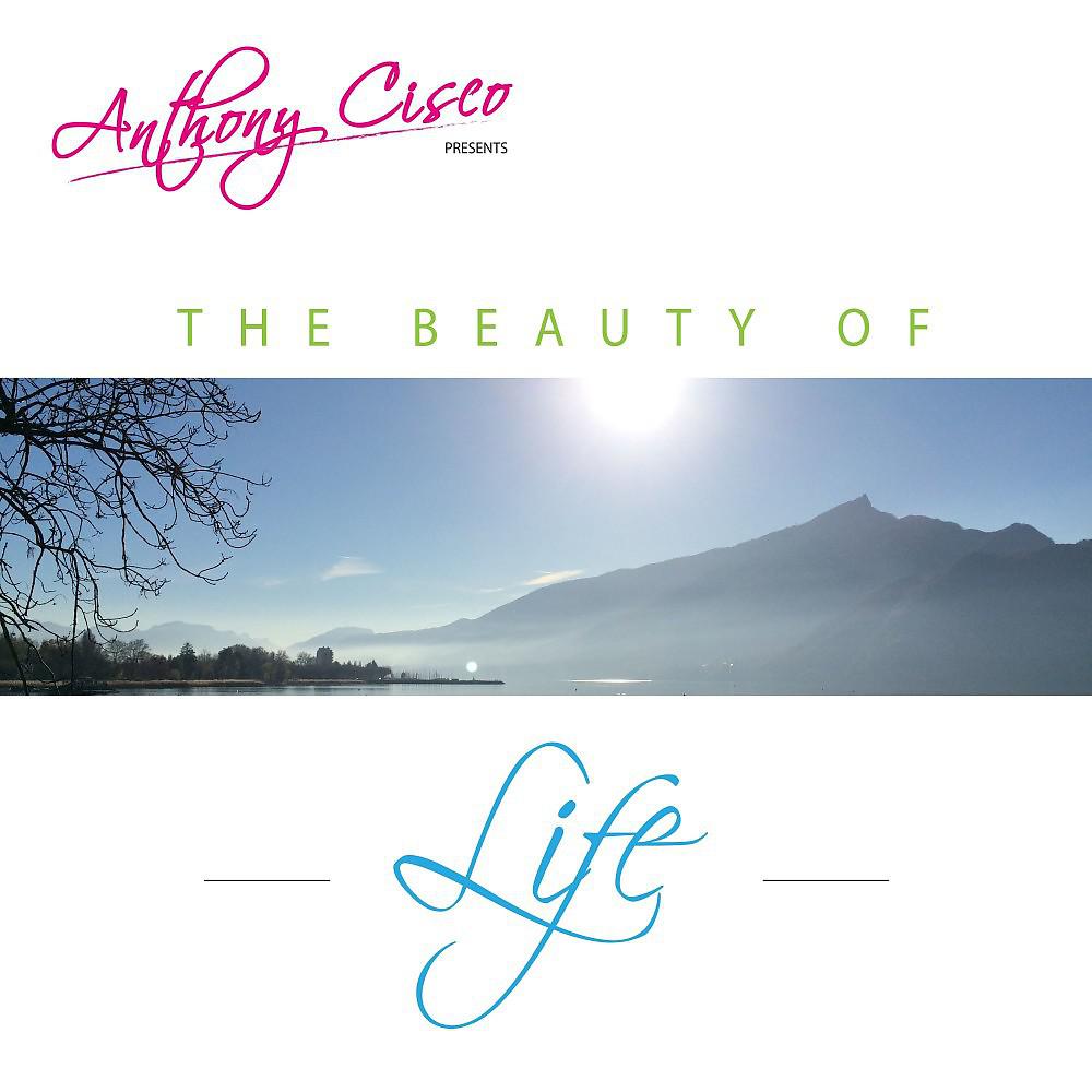 Постер альбома The Beauty of Life