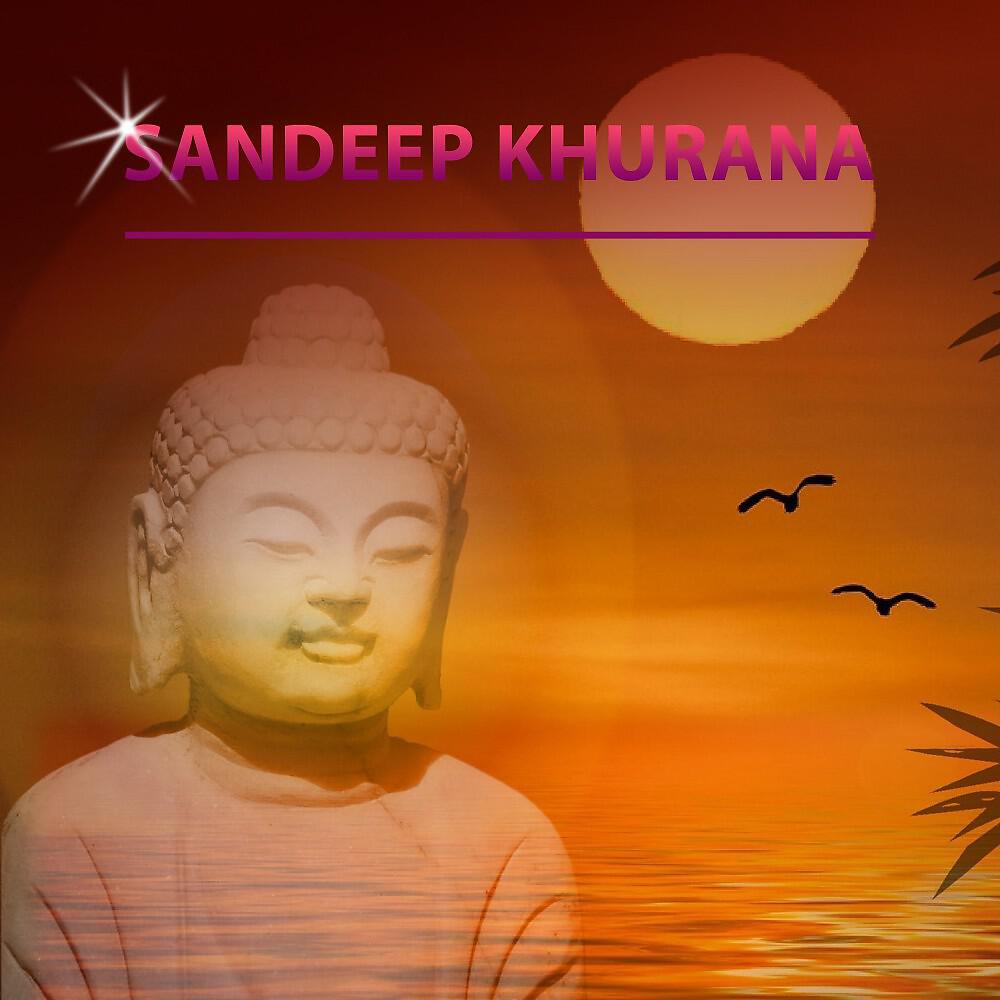 Sandeep Khurana - Asian Bhangra Electronic Dhol Beats Mix DJ Dance India Beats Rhythm of Punjab